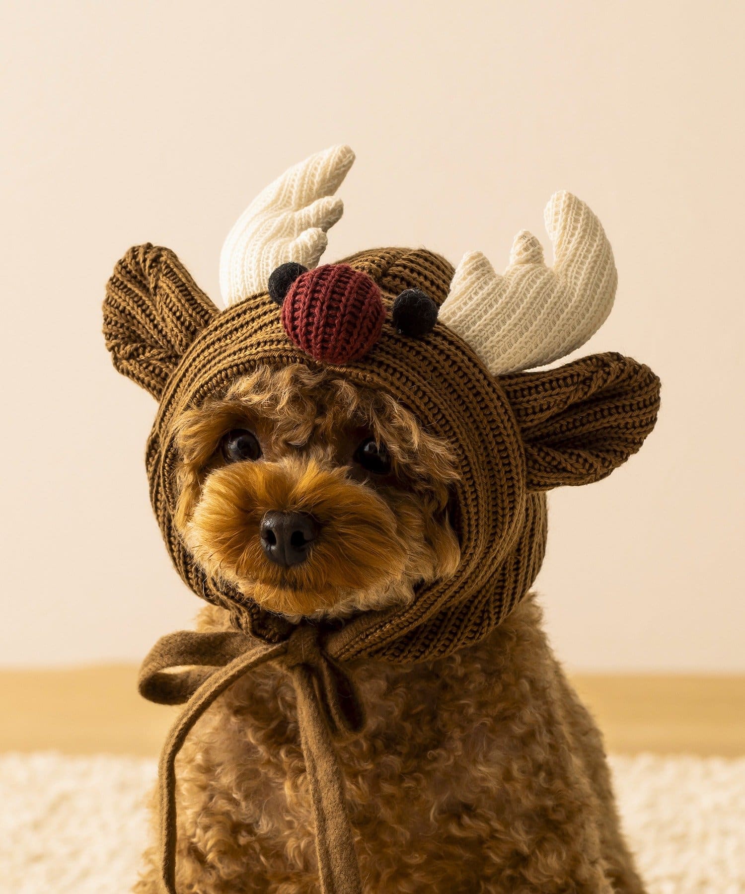 3COINS(スリーコインズ) PET用トナカイかぶりもの/クリスマス