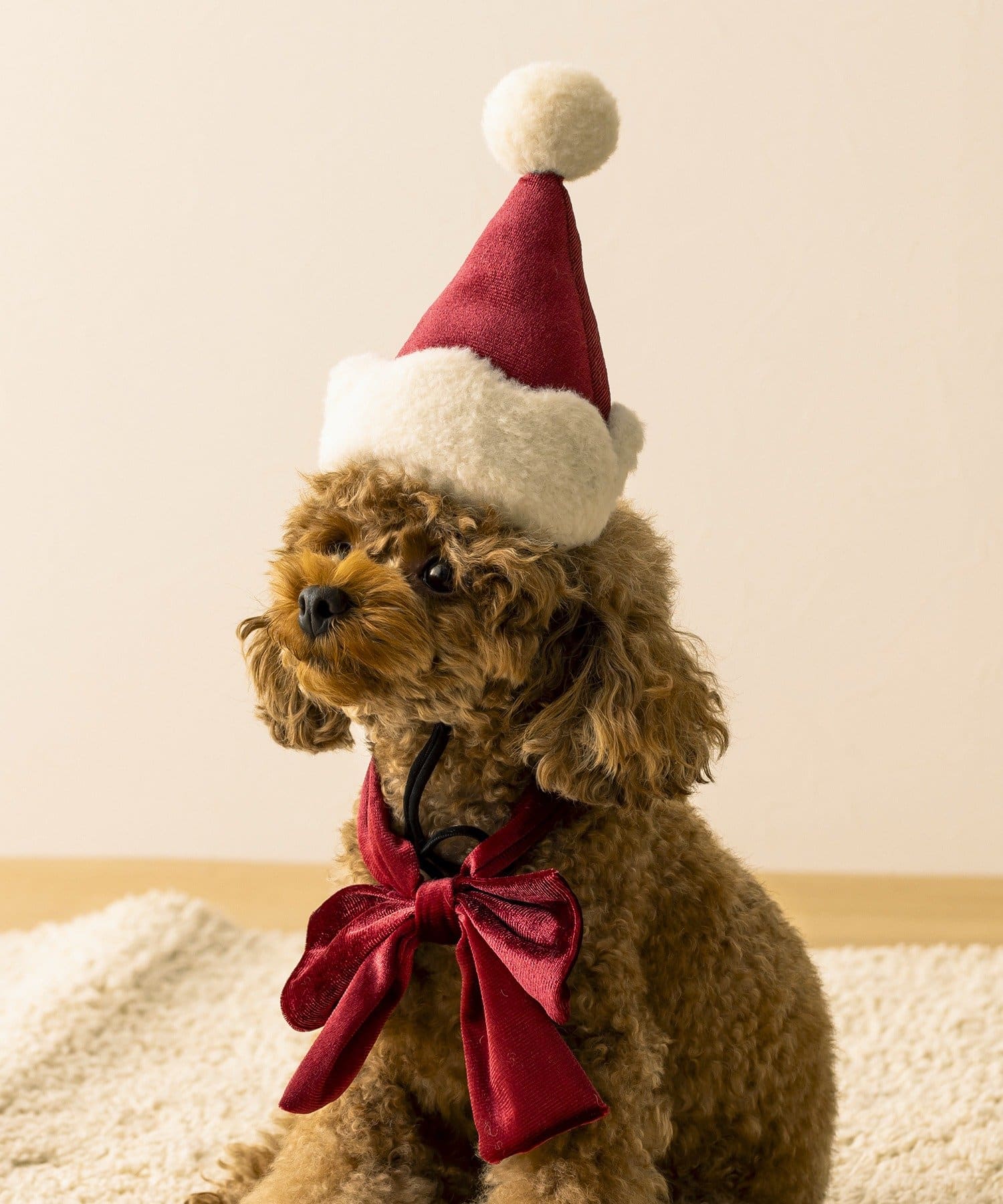 3COINS(スリーコインズ) PET用サンタ帽子&リボンセット/クリスマス