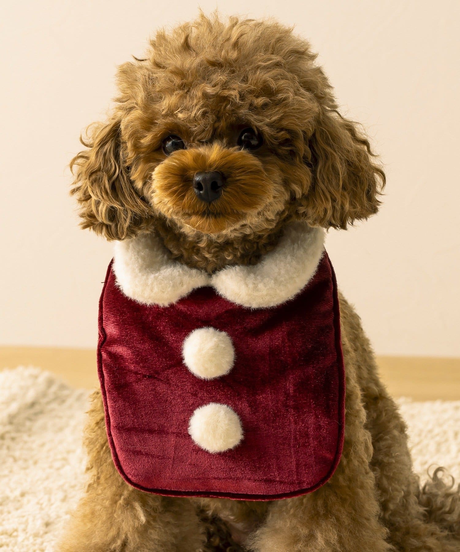 3COINS(スリーコインズ) PET用サンタスタイ/クリスマス