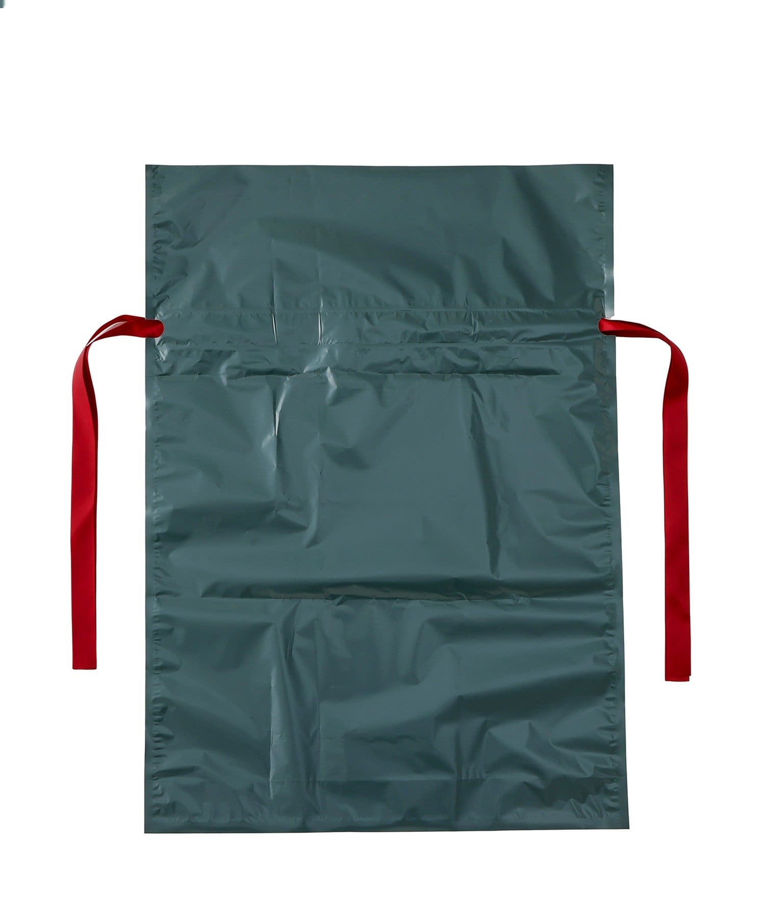 3COINS(スリーコインズ) ラッピング袋/クリスマス