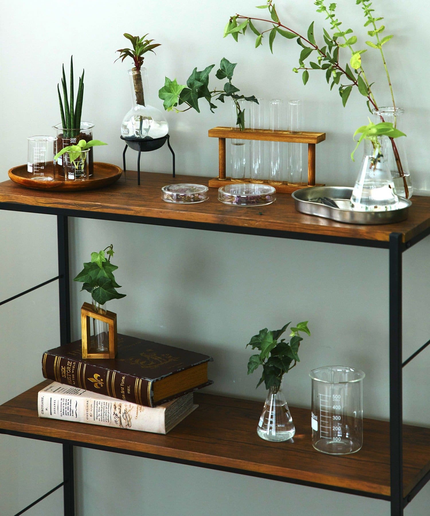 salut!(サリュ) ピンセット:12.5cm/SCIENCE