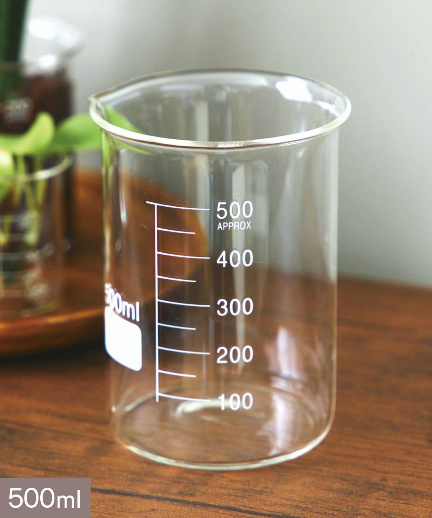 salut!(サリュ) ビーカー:500ml/SCIENCE