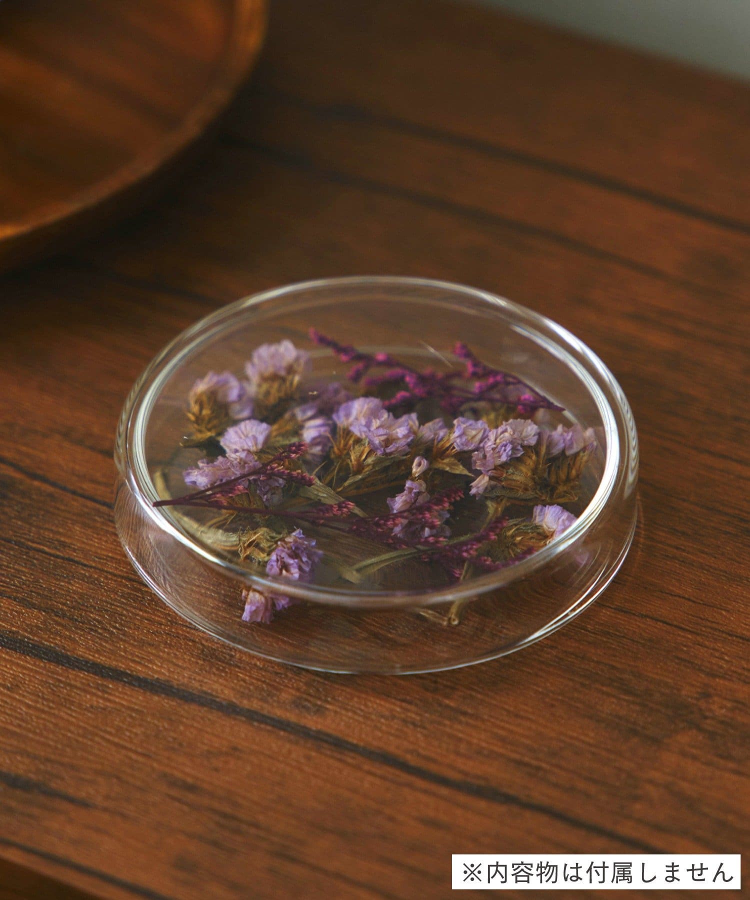 salut!(サリュ) シャーレ:L/SCIENCE