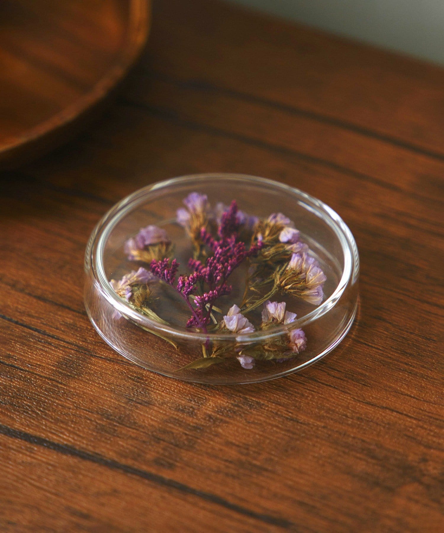 salut!(サリュ) シャーレ:M/SCIENCE