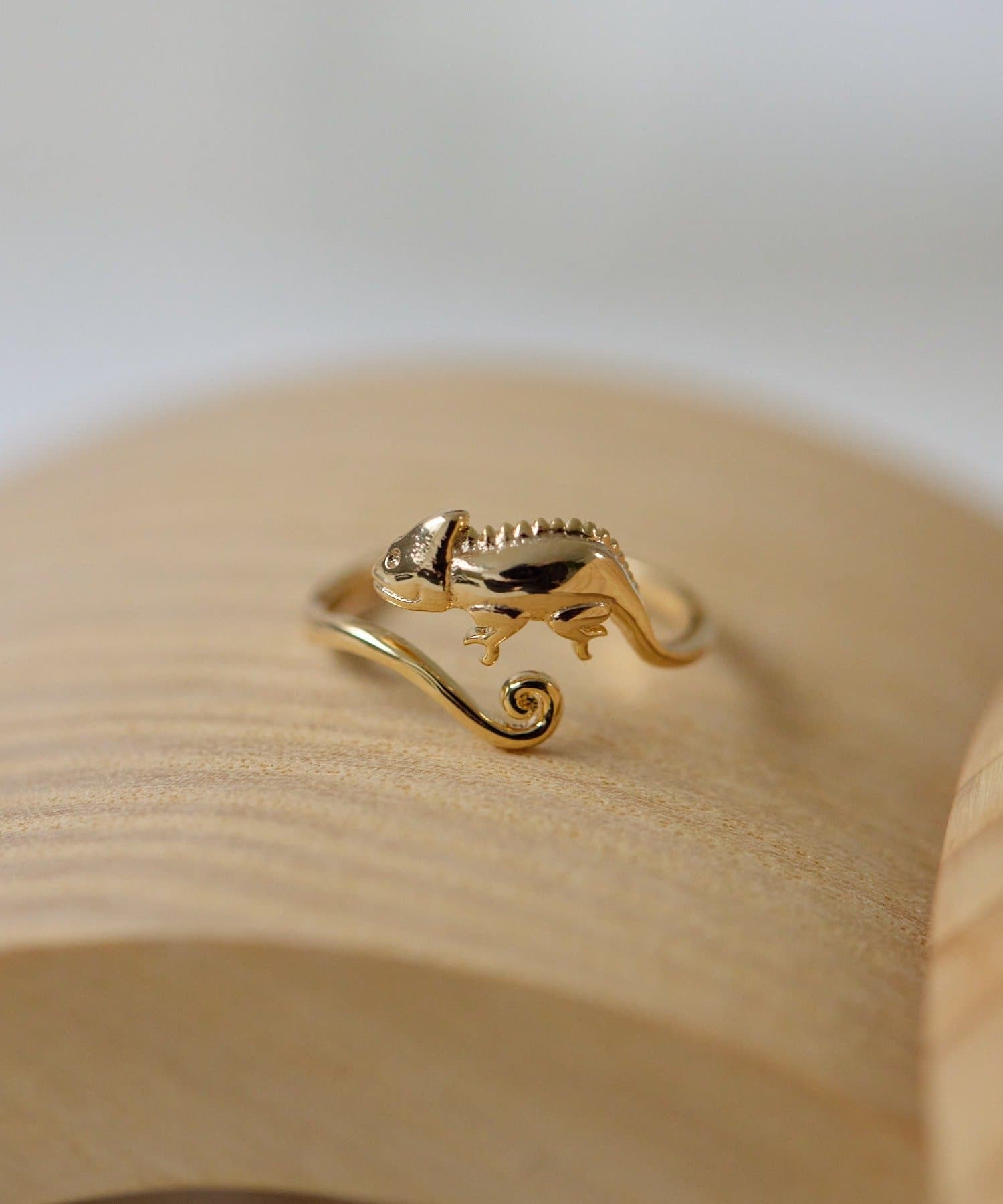 ear PAPILLONNER(イア パピヨネ) 《WEB限定》カメレオンリング