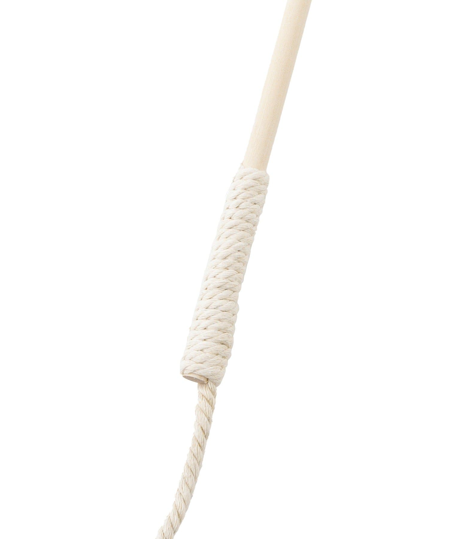 3COINS(スリーコインズ) ねこ用おもちゃスティック