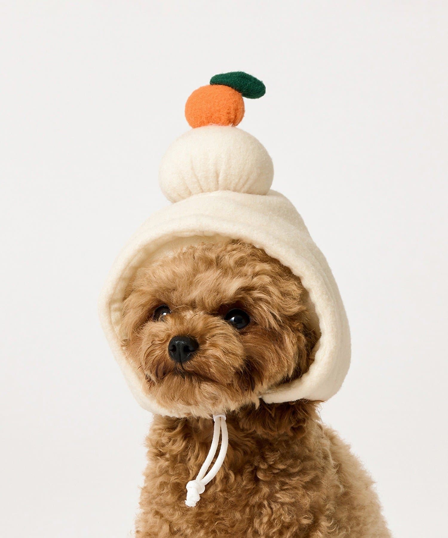 3COINS(スリーコインズ) ペット用鏡餅のかぶりもの／お正月