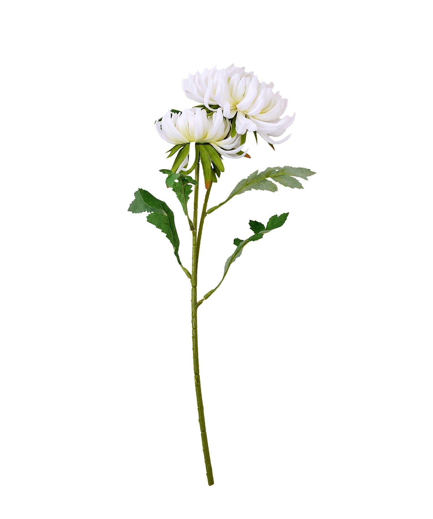 3COINS(スリーコインズ) フェイクフラワー／お正月