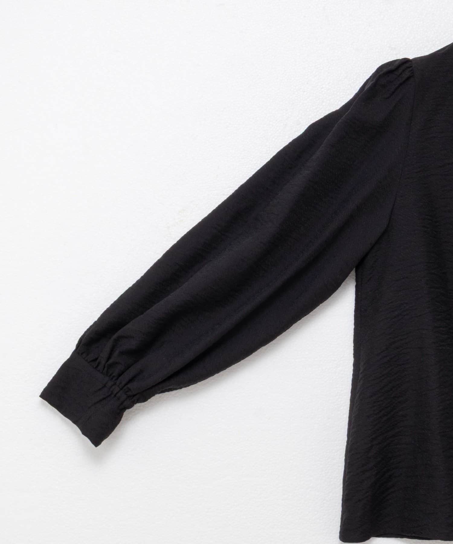 NOLLEY'S(ノーリーズ) ウォッシャブルシアーボウタイ2WAYブラウス