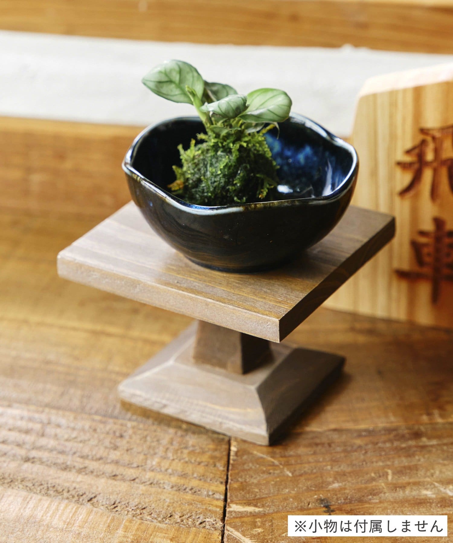 salut!(サリュ) 駒台風スタンド／苔玉と盆栽