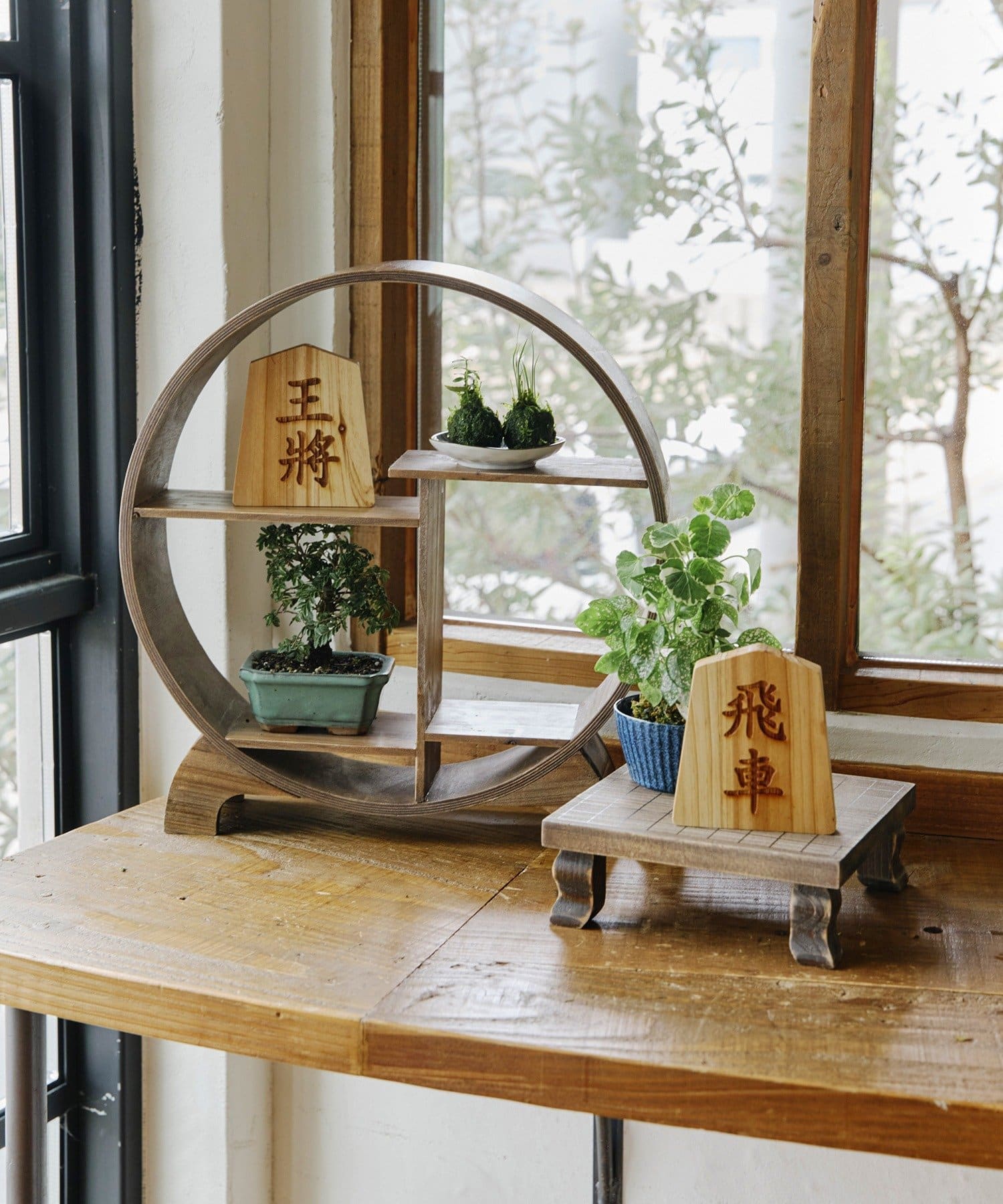 salut!(サリュ) 駒コースター王将／苔玉と盆栽