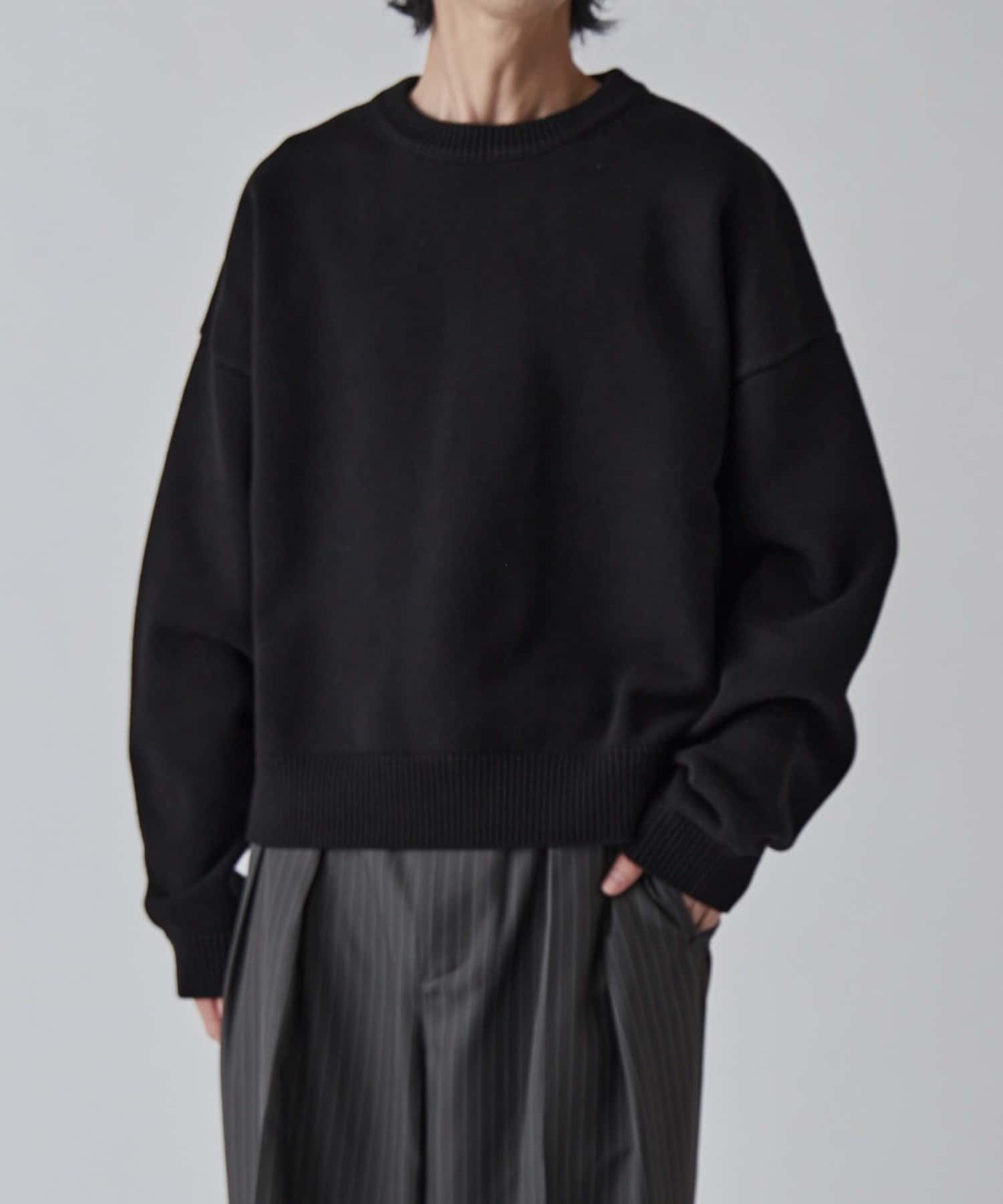 Lui's(ルイス) クロップドクルーネックニット