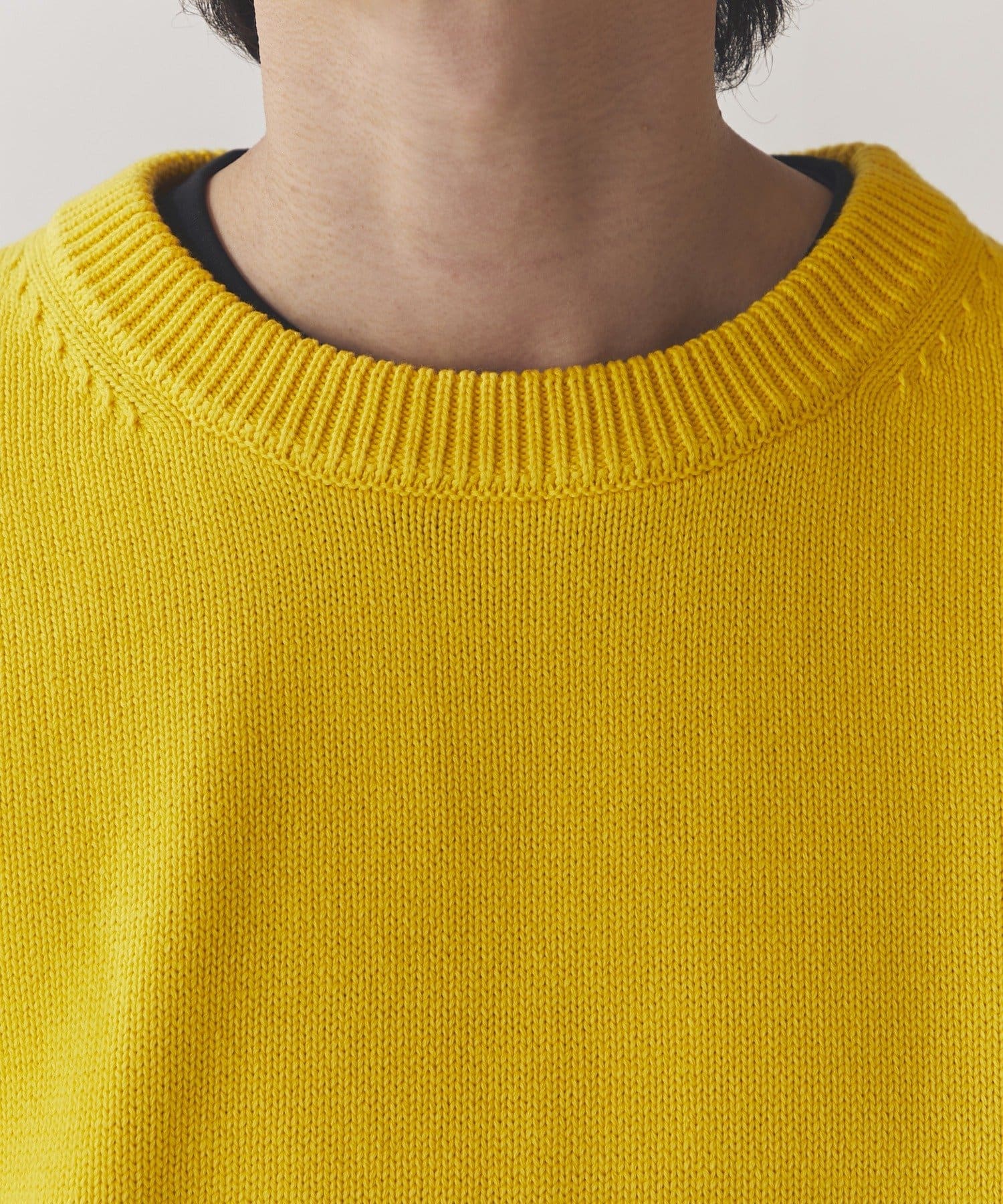 Lui's(ルイス) クロップドクルーネックニット