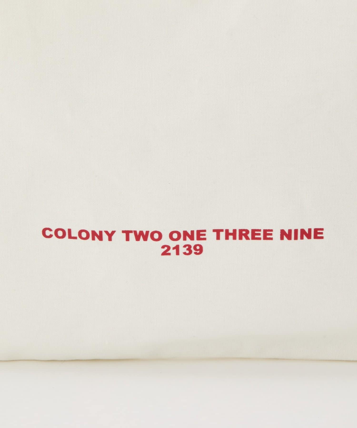 COLONY 2139(コロニー トゥーワンスリーナイン) 7デイズキャンバストートバッグ