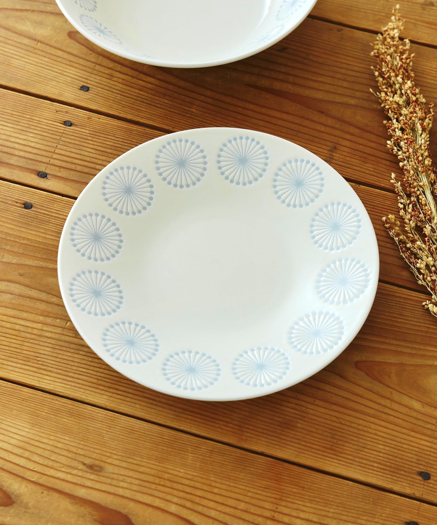 salut!(サリュ) MOCOプレート：22cm