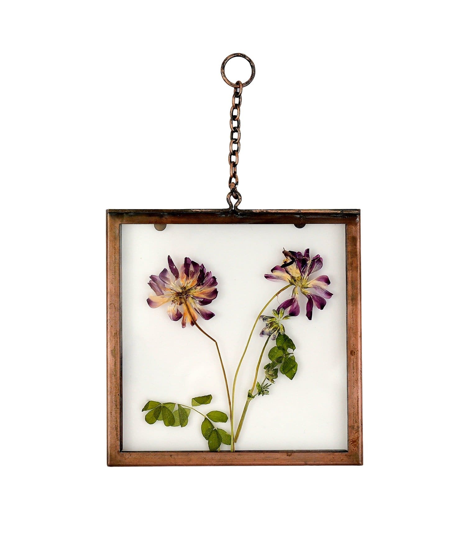 salut!(サリュ) アイアンフレーム押し花アートパネル