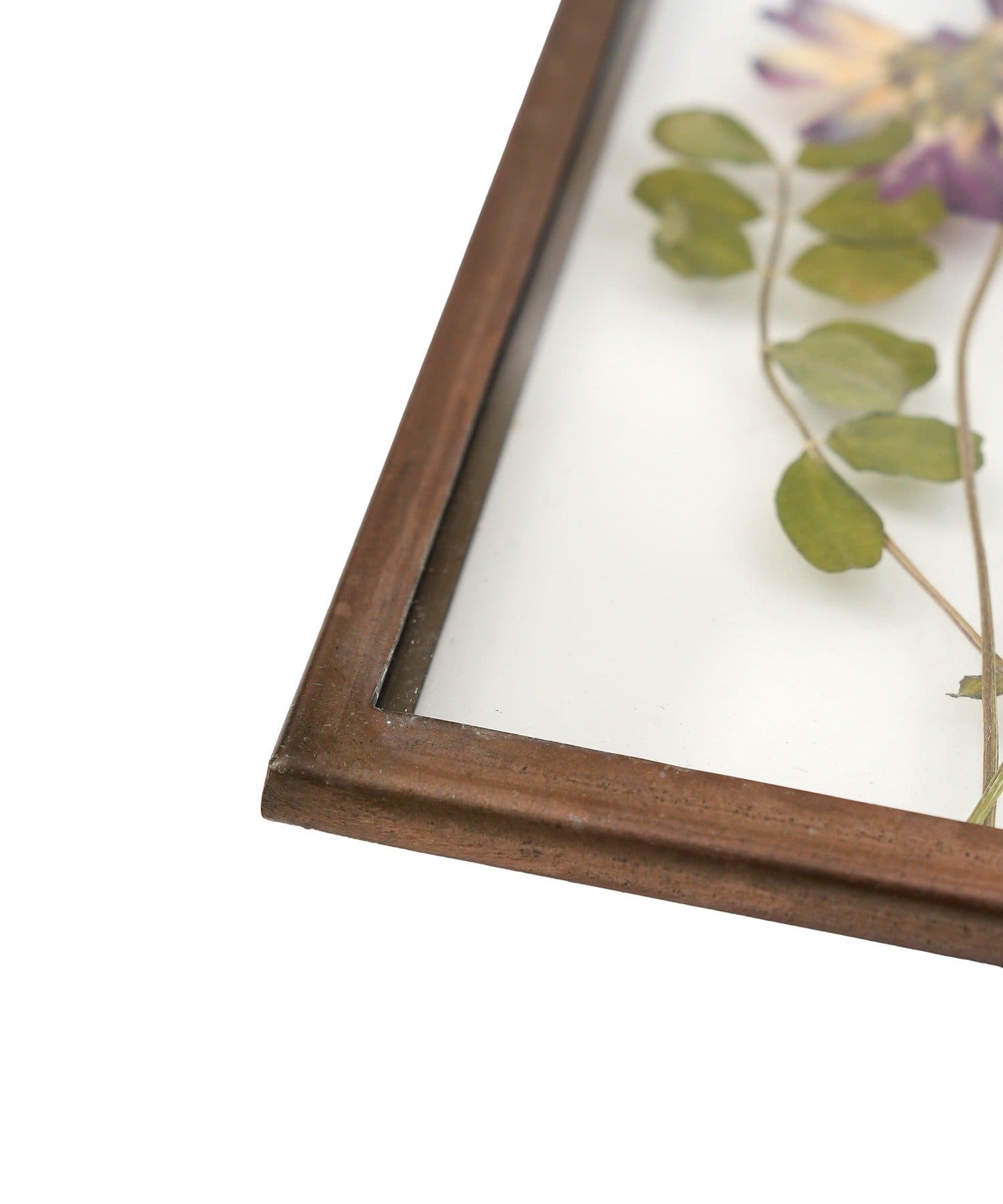 salut!(サリュ) アイアンフレーム押し花アートパネル