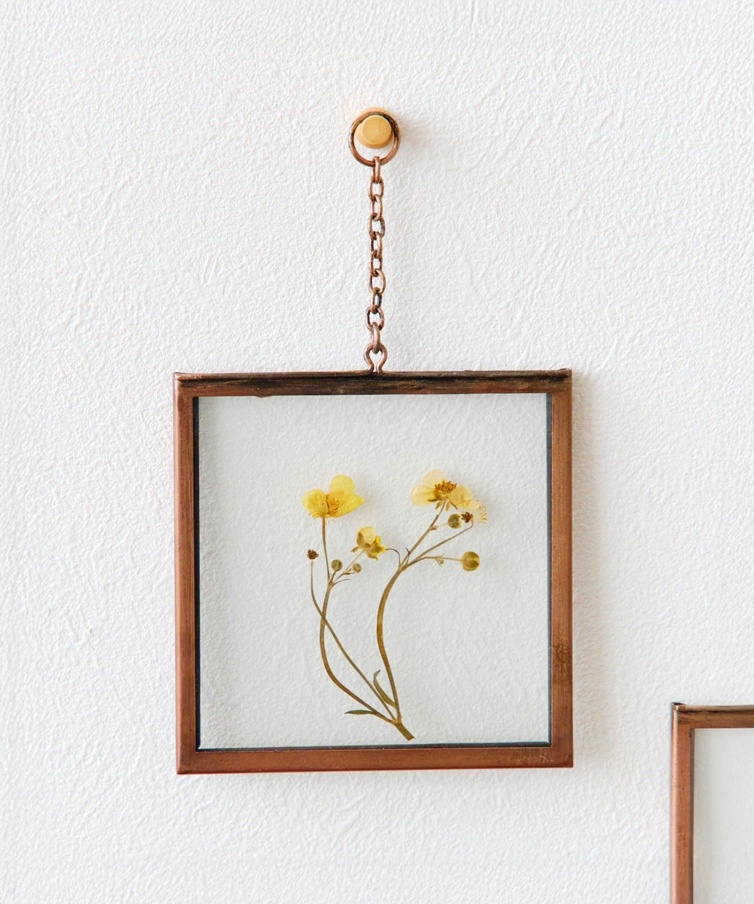 salut!(サリュ) アイアンフレーム押し花アートパネル