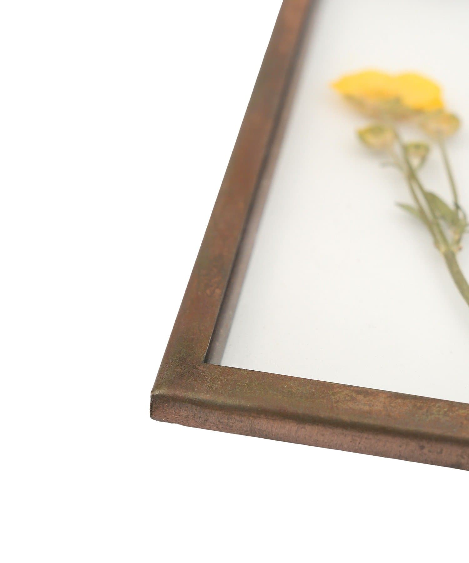 salut!(サリュ) アイアンフレーム押し花アートパネル