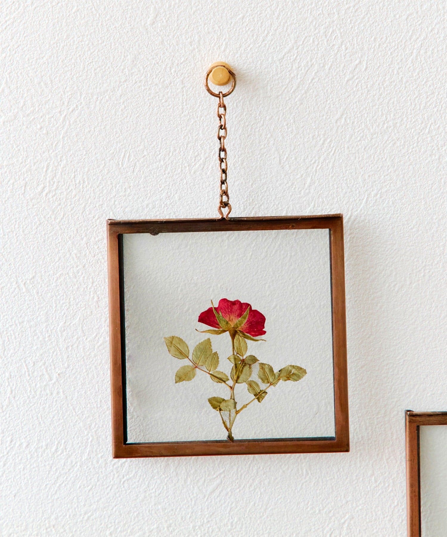 salut!(サリュ) アイアンフレーム押し花アートパネル