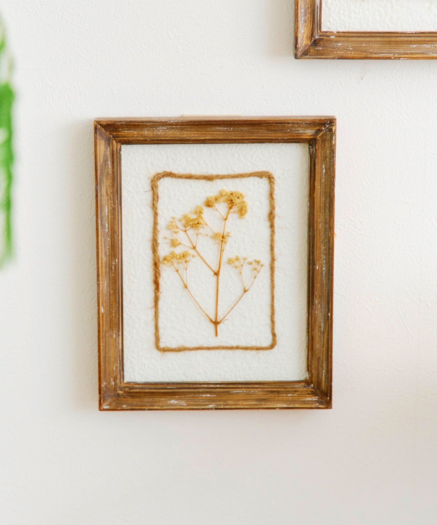 salut!(サリュ) 押し花アートパネル