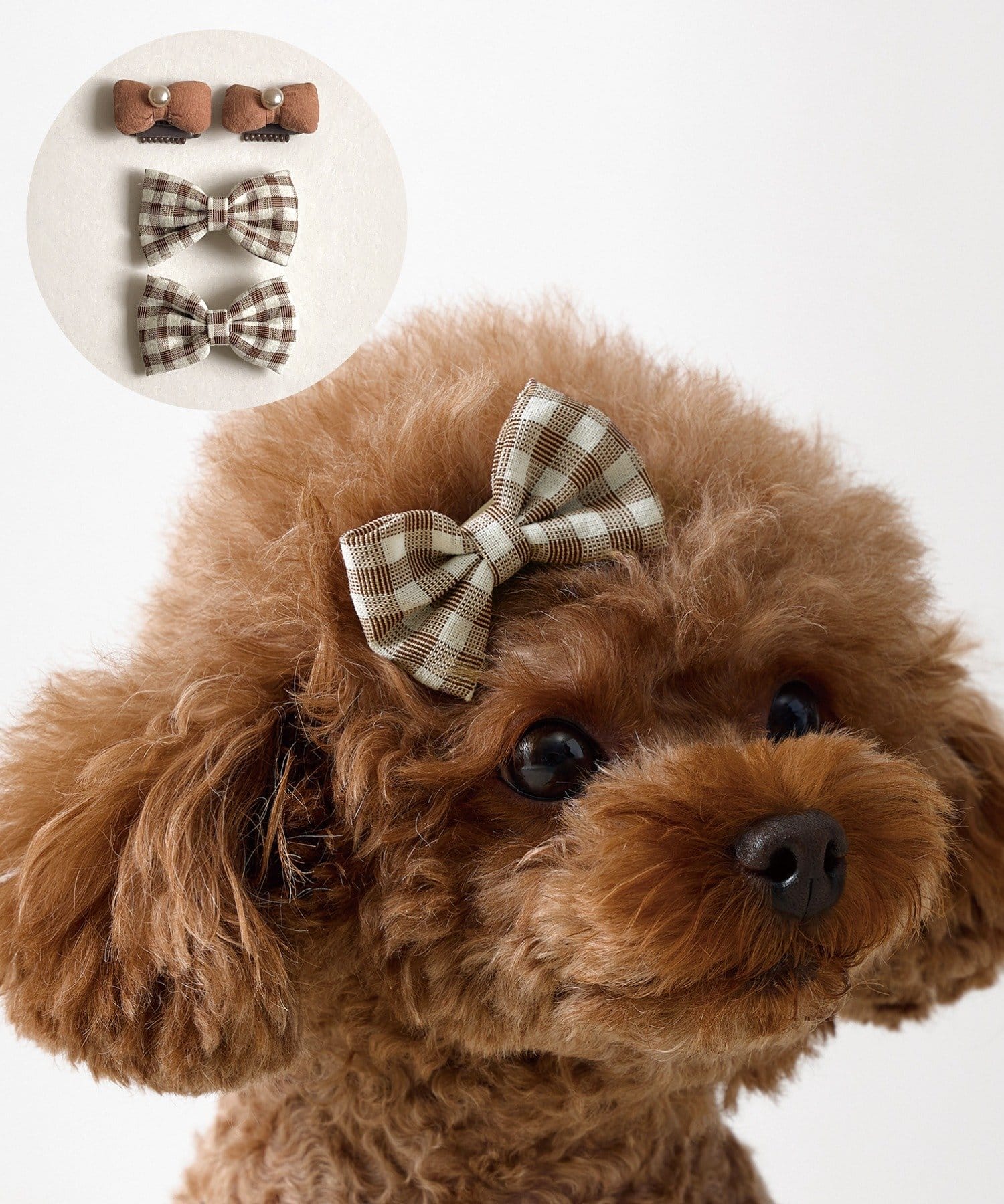 3COINS(スリーコインズ) ペット用ヘアアクセ