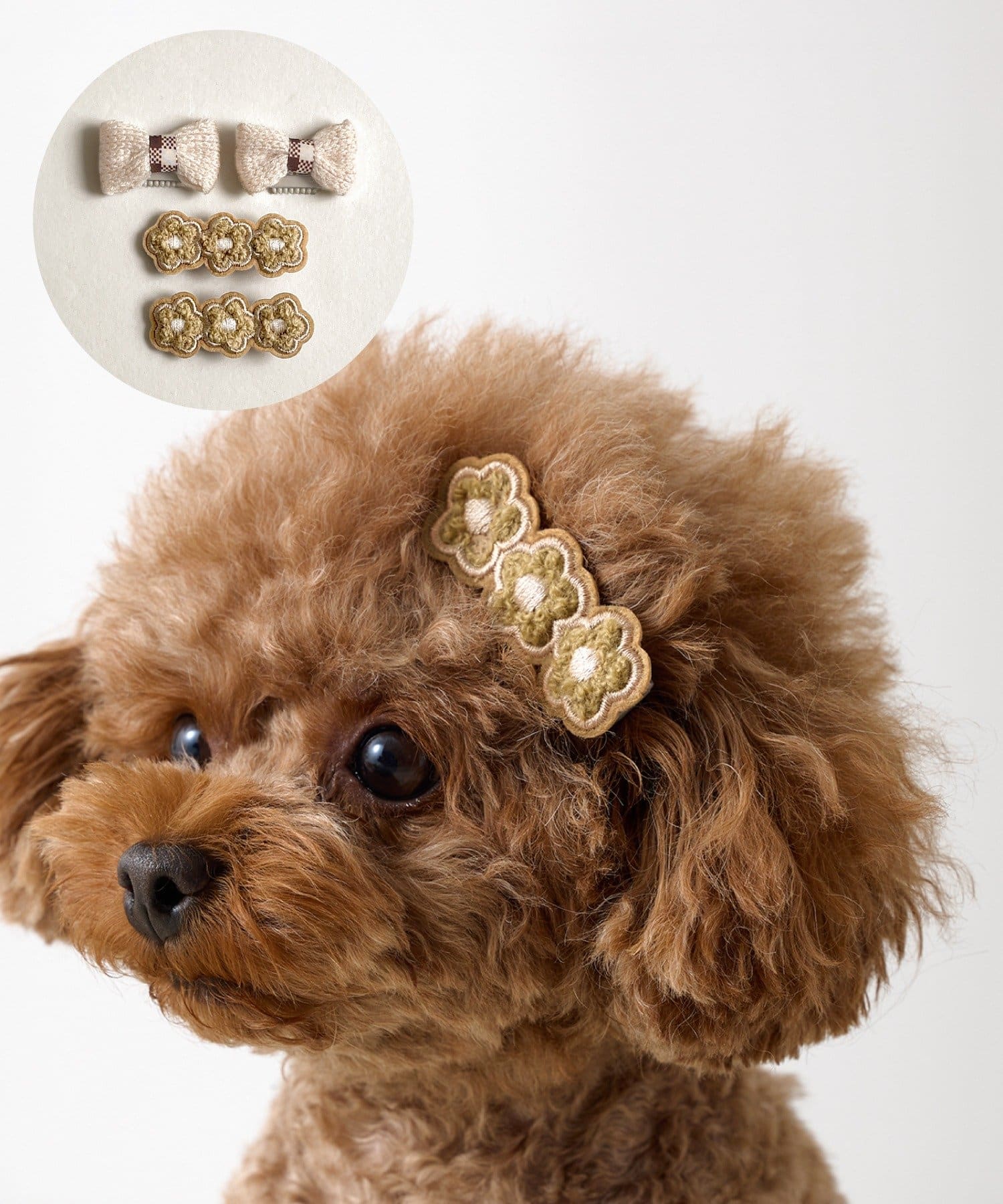 3COINS(スリーコインズ) ペット用ヘアアクセ