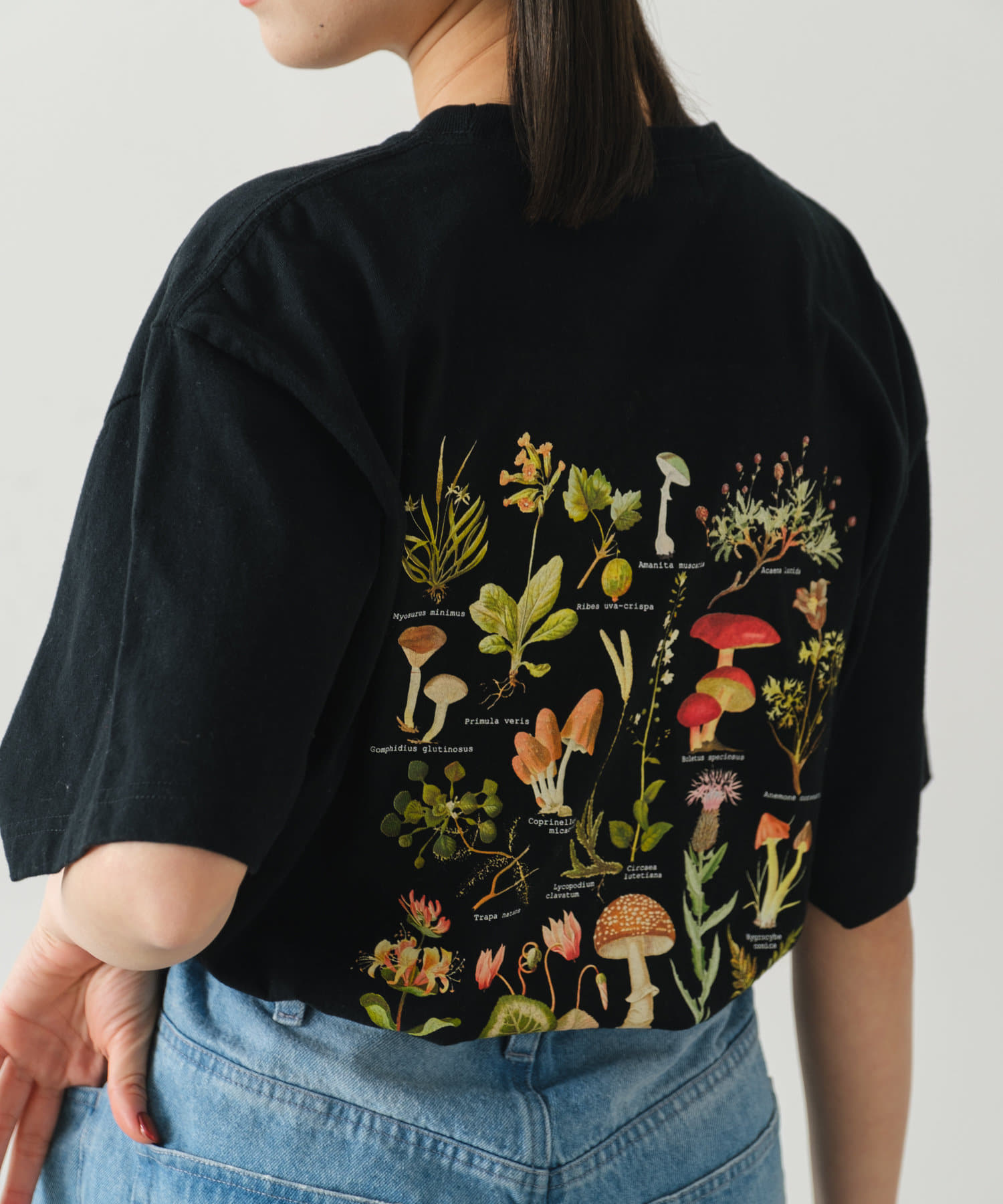 OUTLET(アウトレット) 【Kastane】スーベニアTシャツ