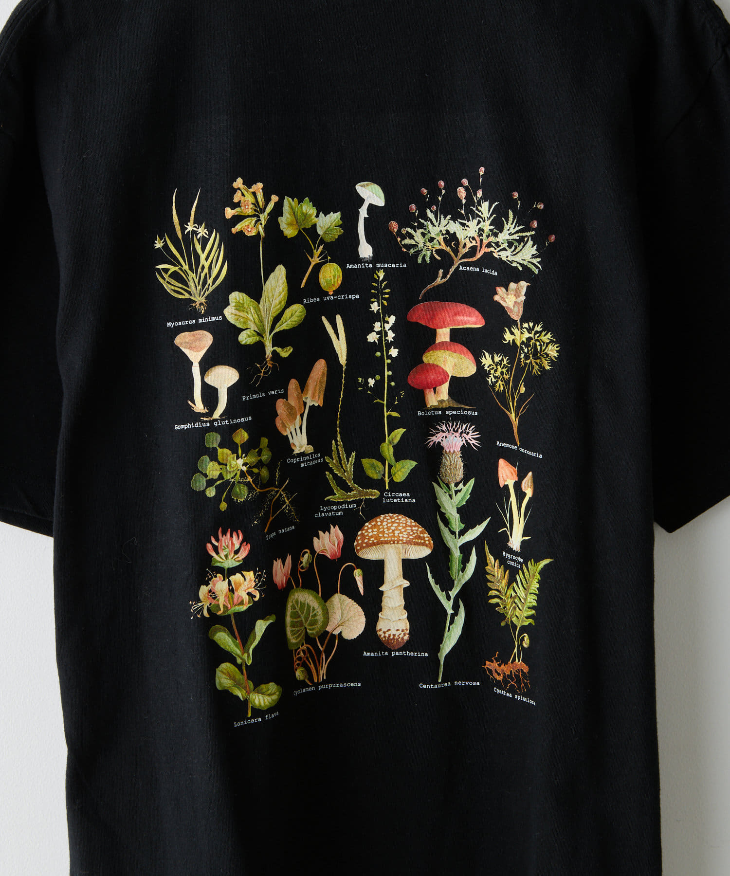 OUTLET(アウトレット) 【Kastane】スーベニアTシャツ