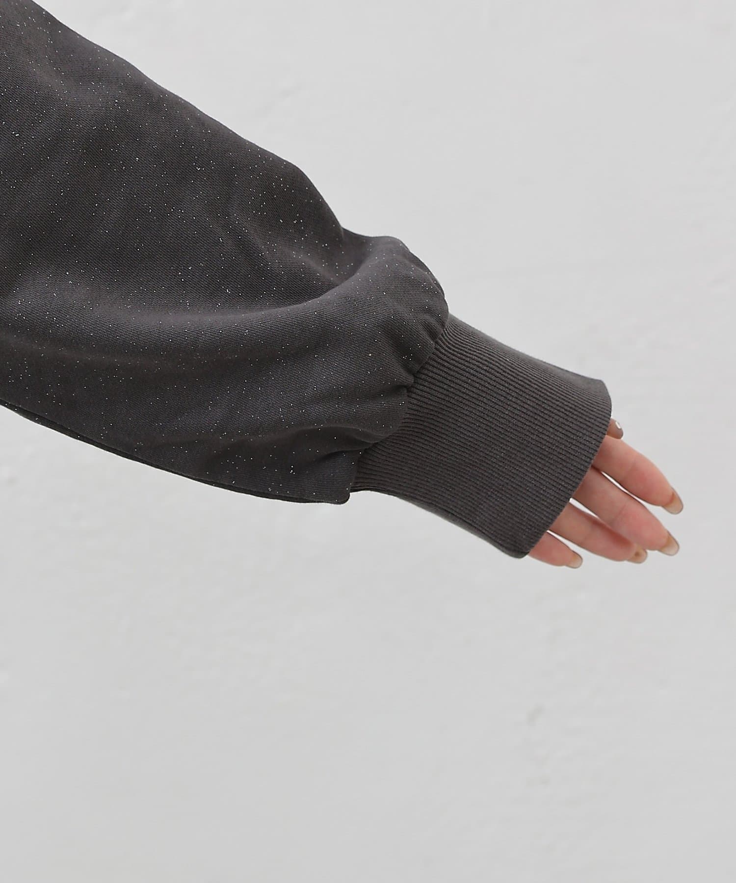 COLONY 2139(コロニー トゥーワンスリーナイン) ラメ裏毛クルーコンパクトプルオーバー