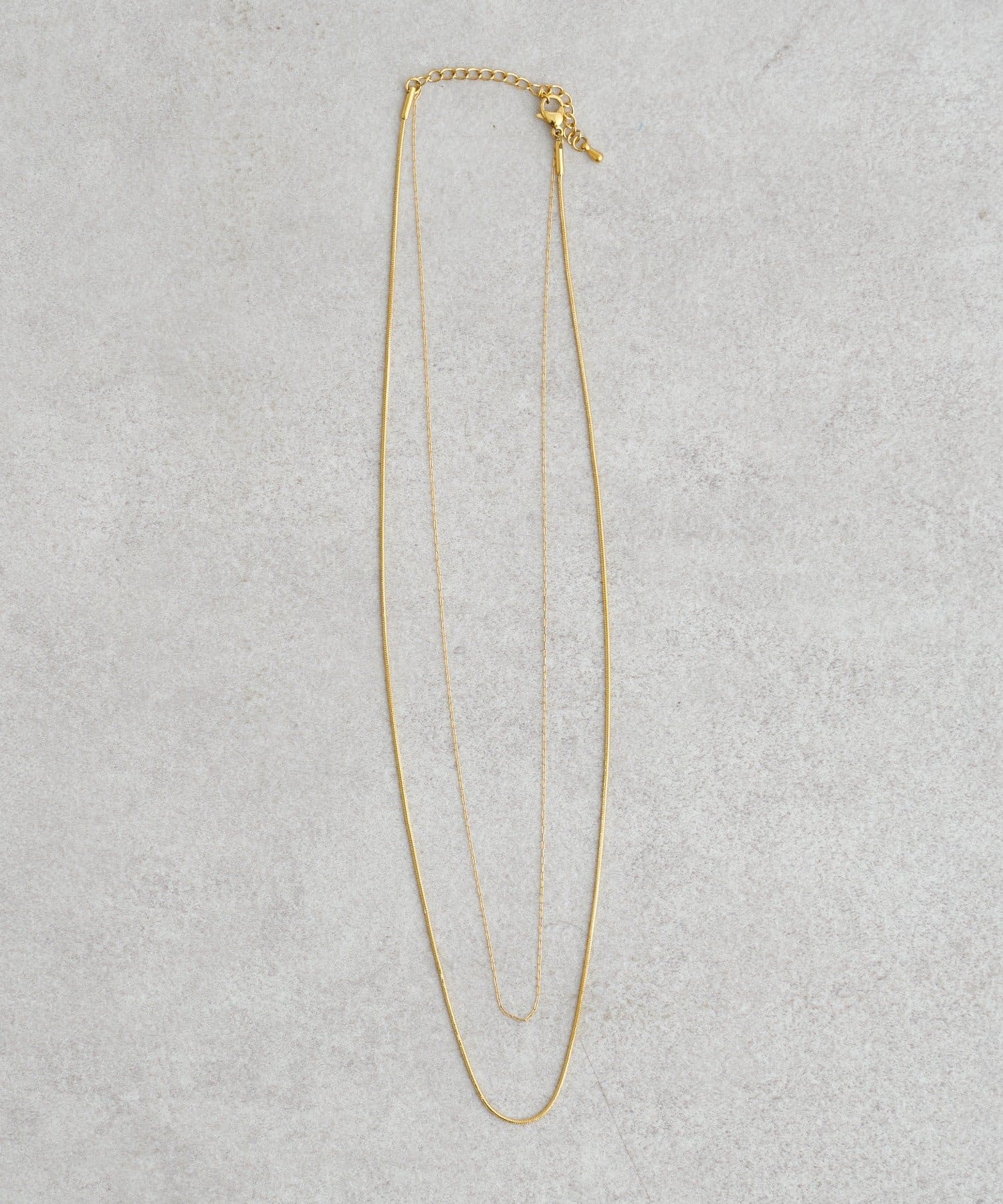 SHENERY(シーナリー) ツインラインネックレス