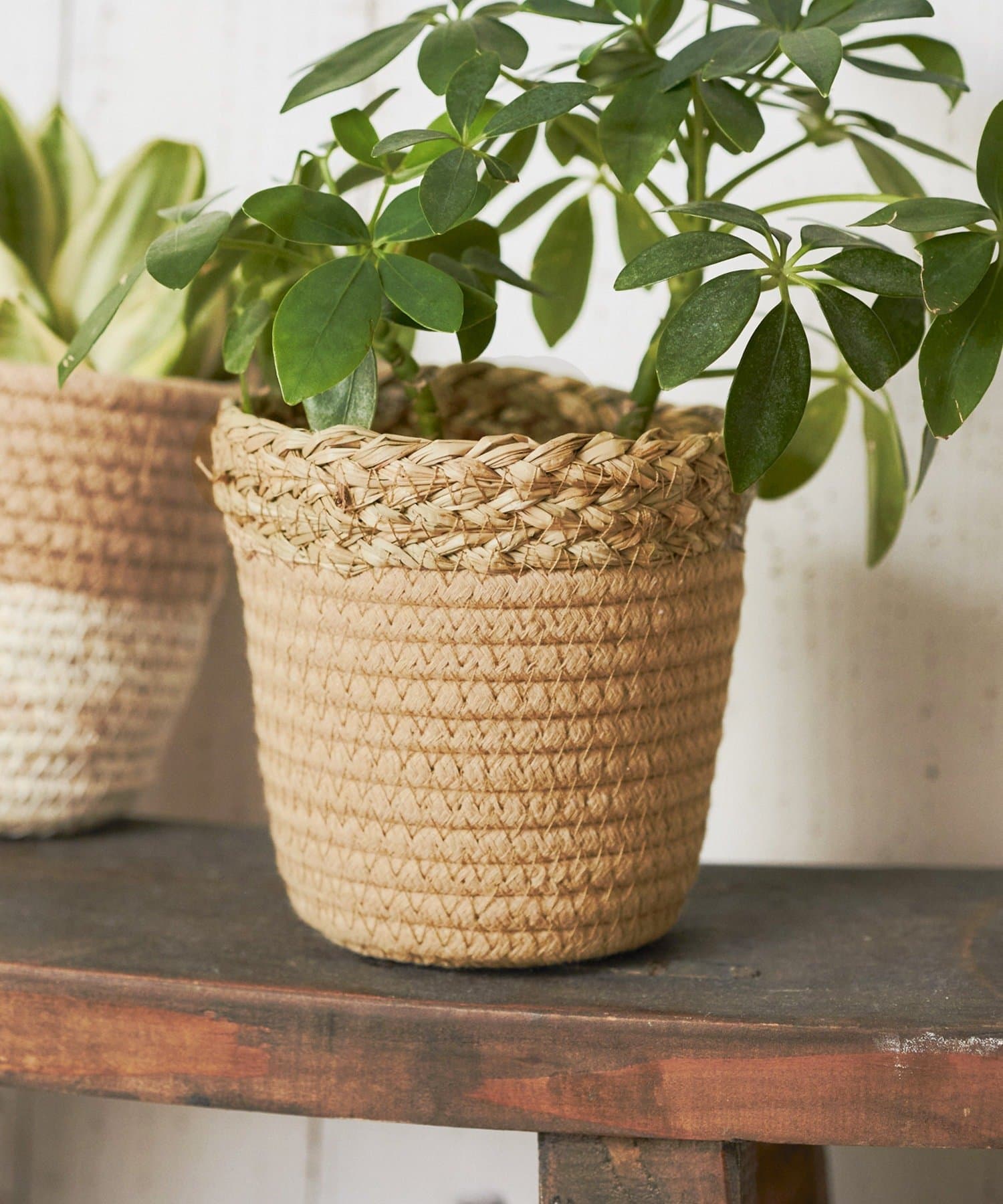 salut!(サリュ) ツートンバスケット：S