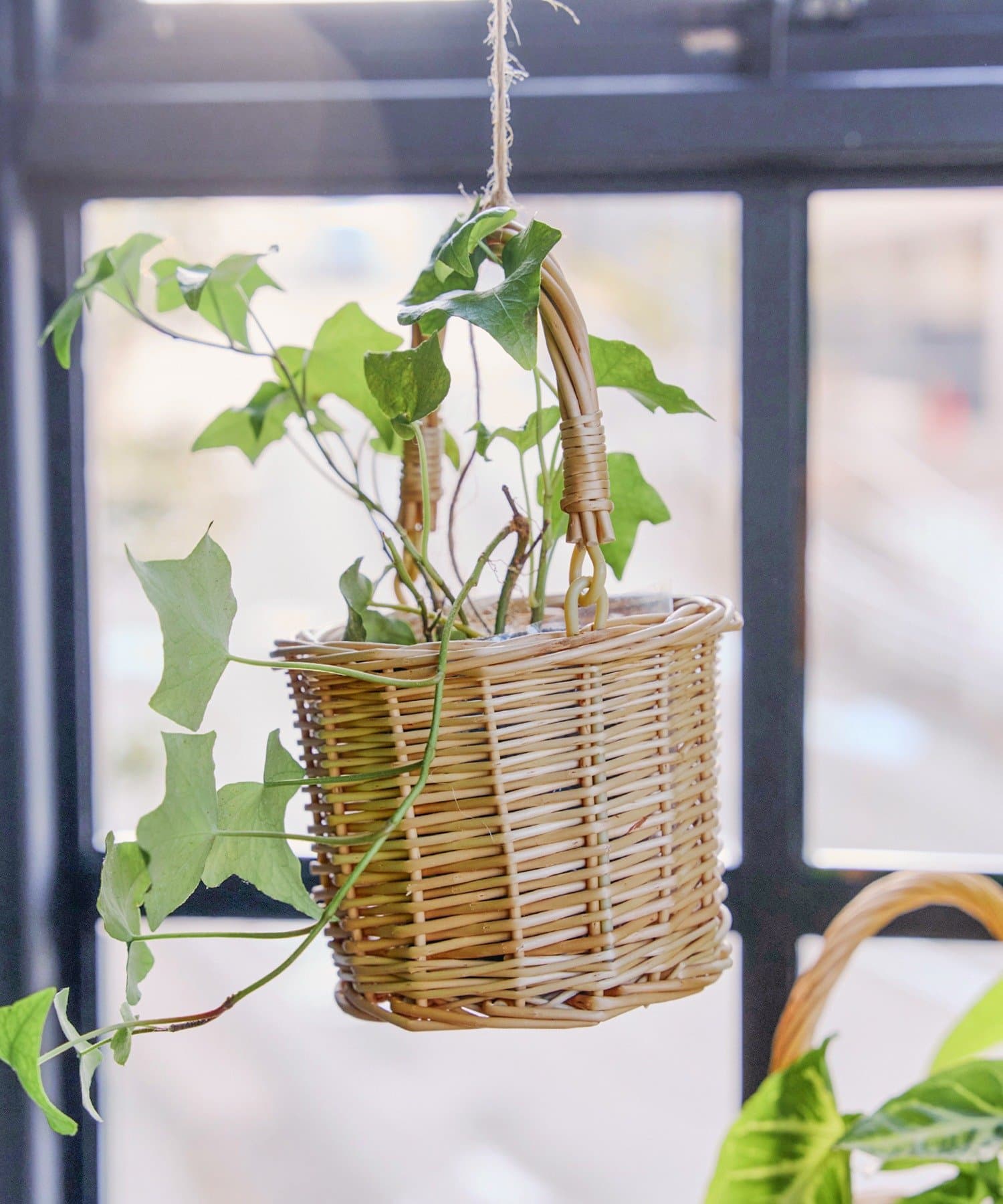 salut!(サリュ) 柳ハンドルバスケット3号