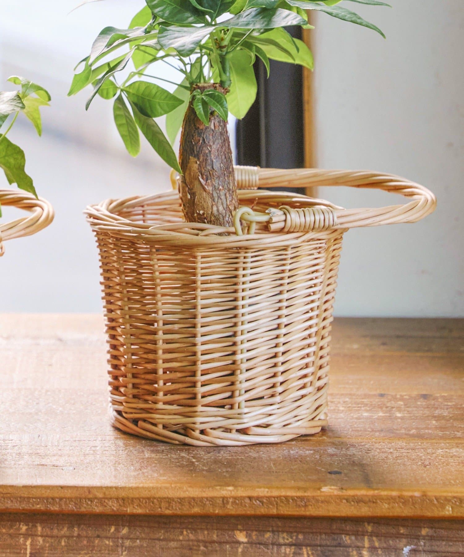 salut!(サリュ) 柳ハンドルバスケット4号