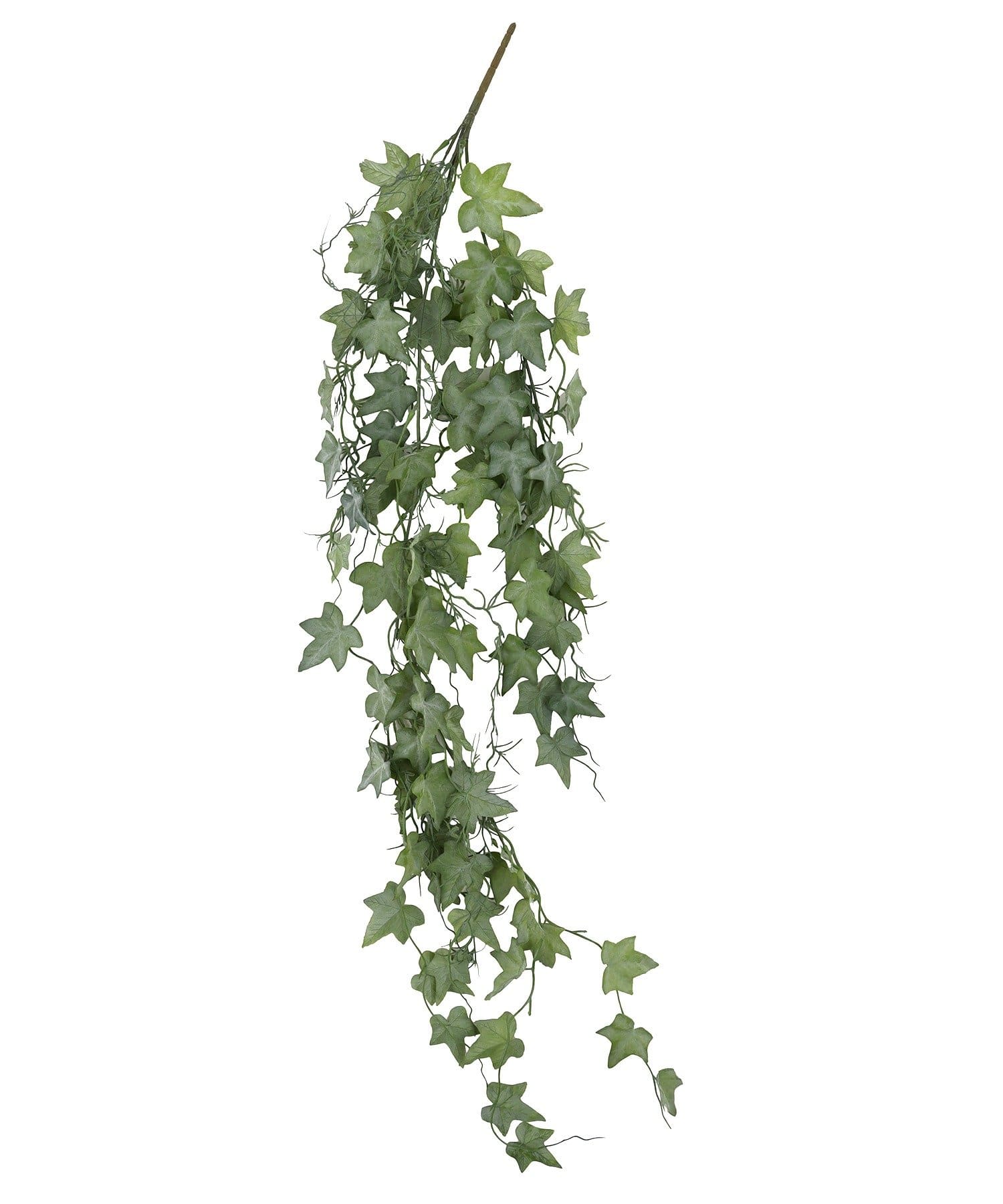 salut!(サリュ) フェイクグリーンアイビー