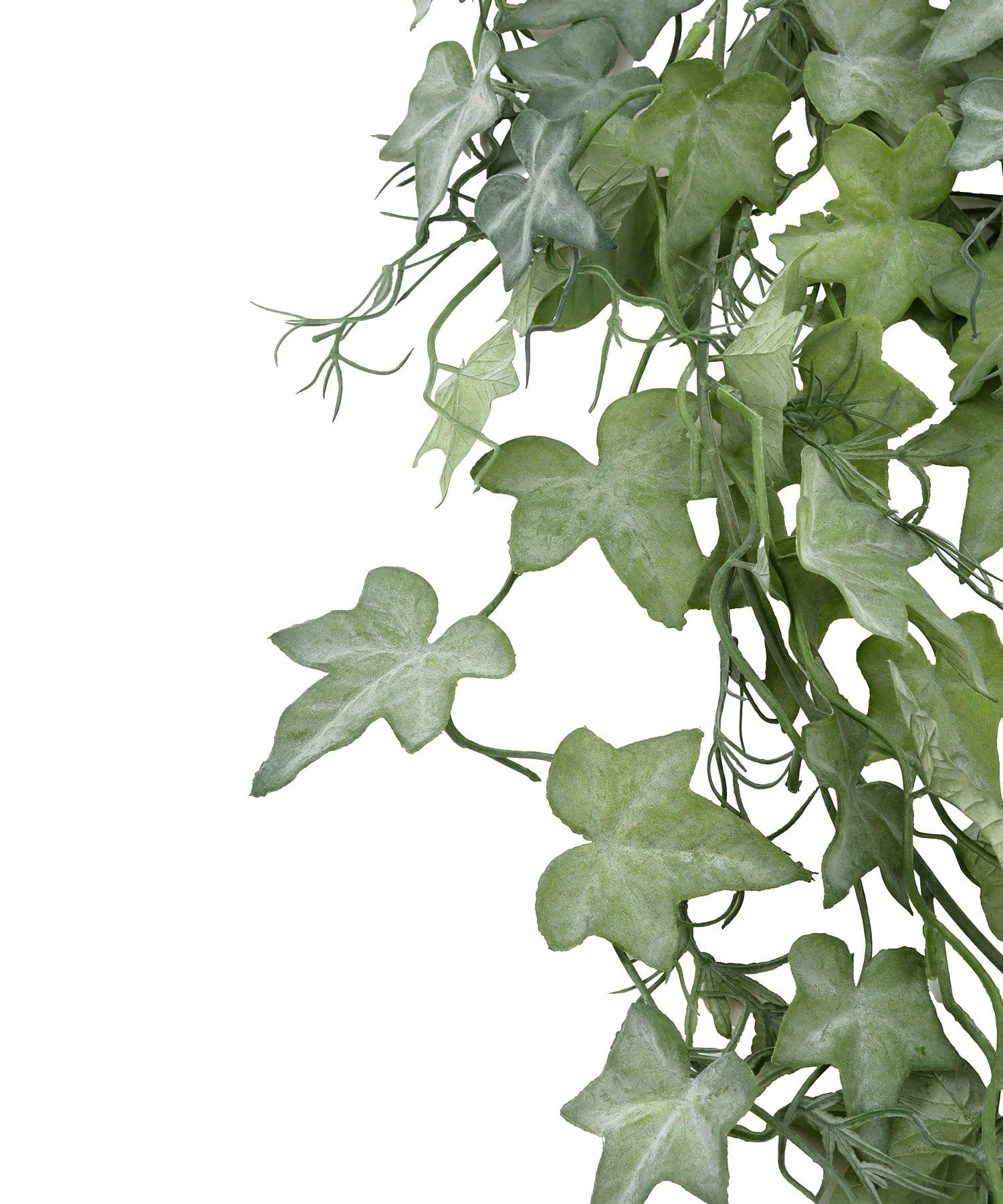 salut!(サリュ) フェイクグリーンアイビー