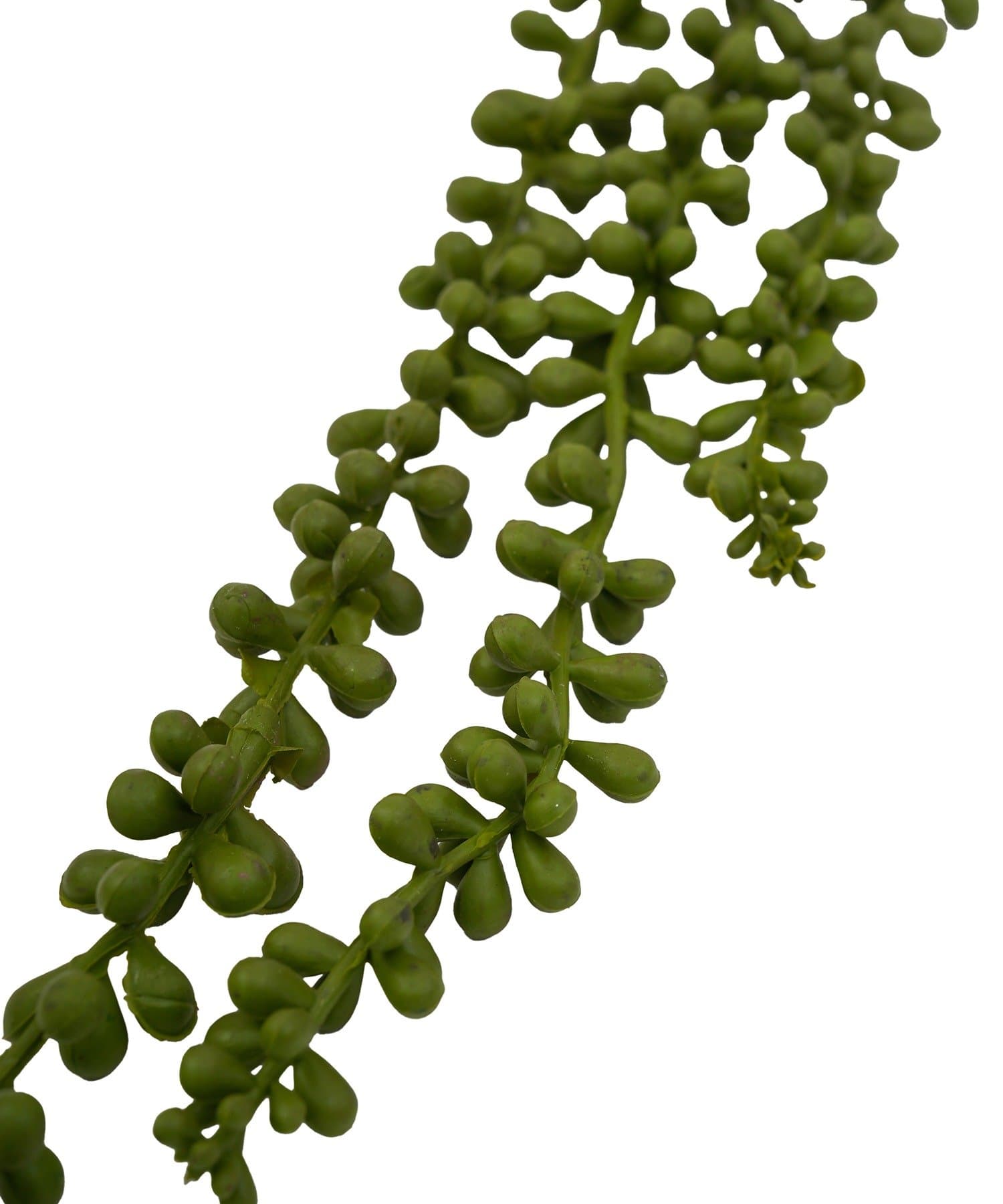 salut!(サリュ) フェイクグリーンネックレス