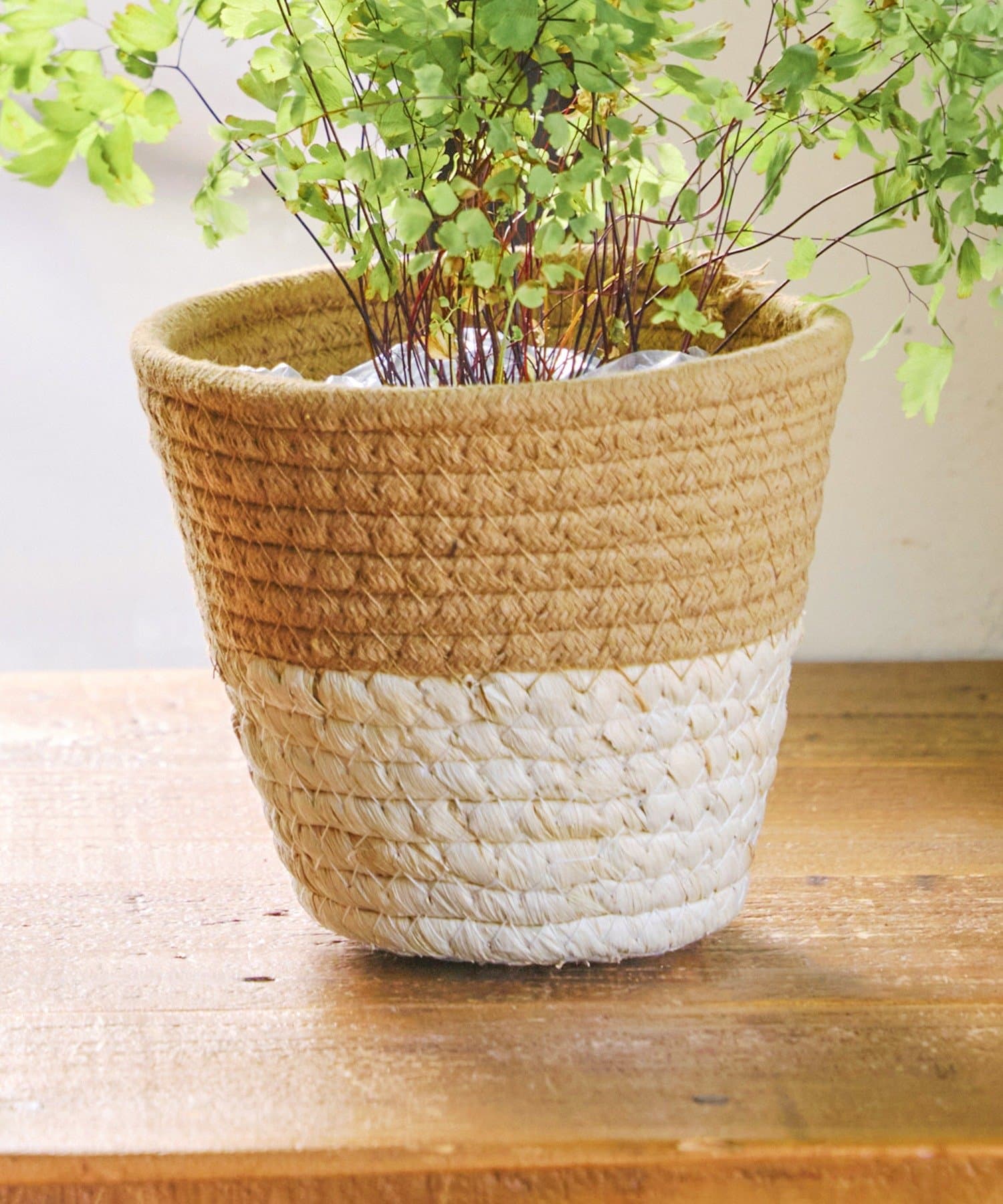 salut!(サリュ) ツートンバスケット：M