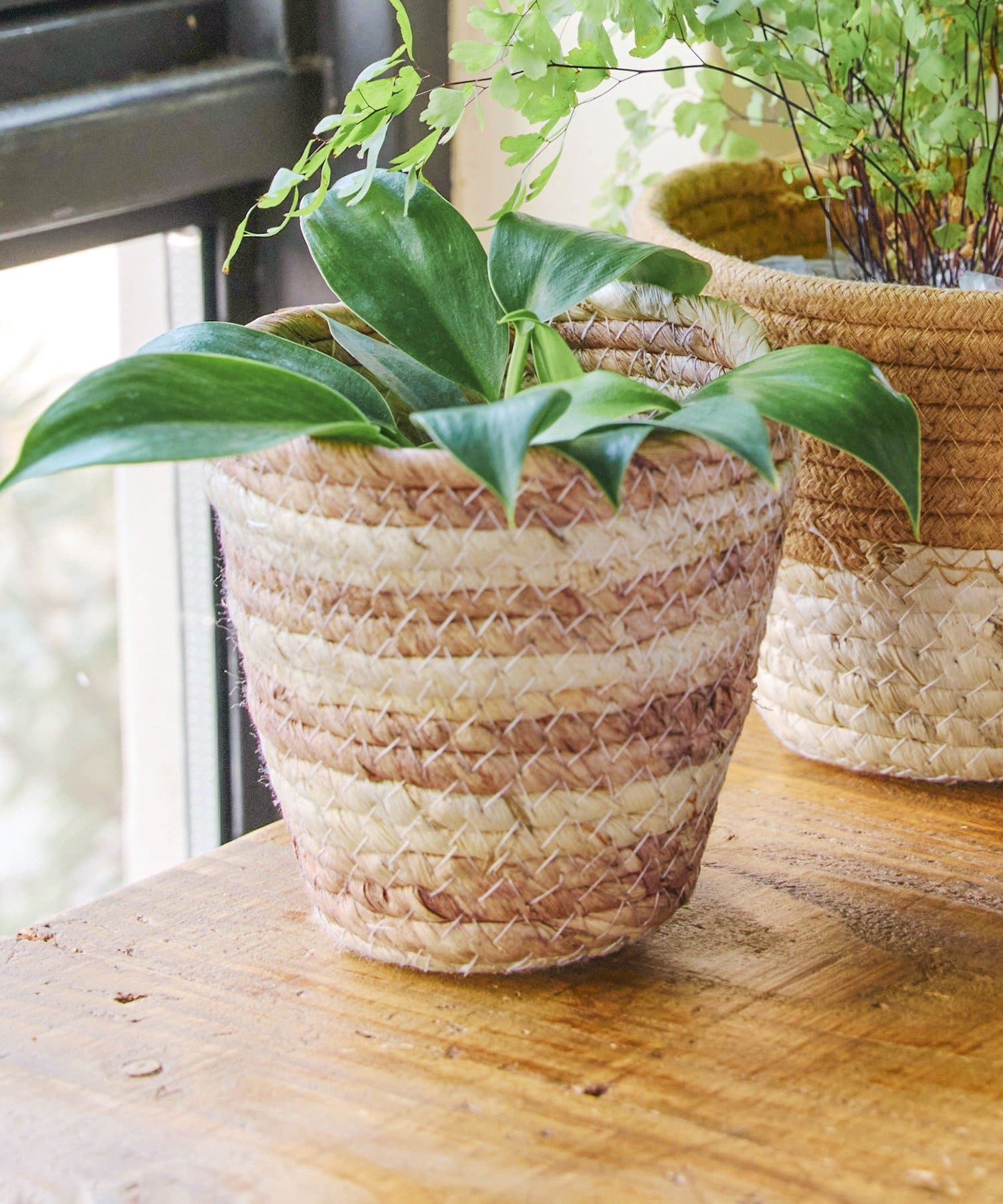 salut!(サリュ) ツートンバスケット：S