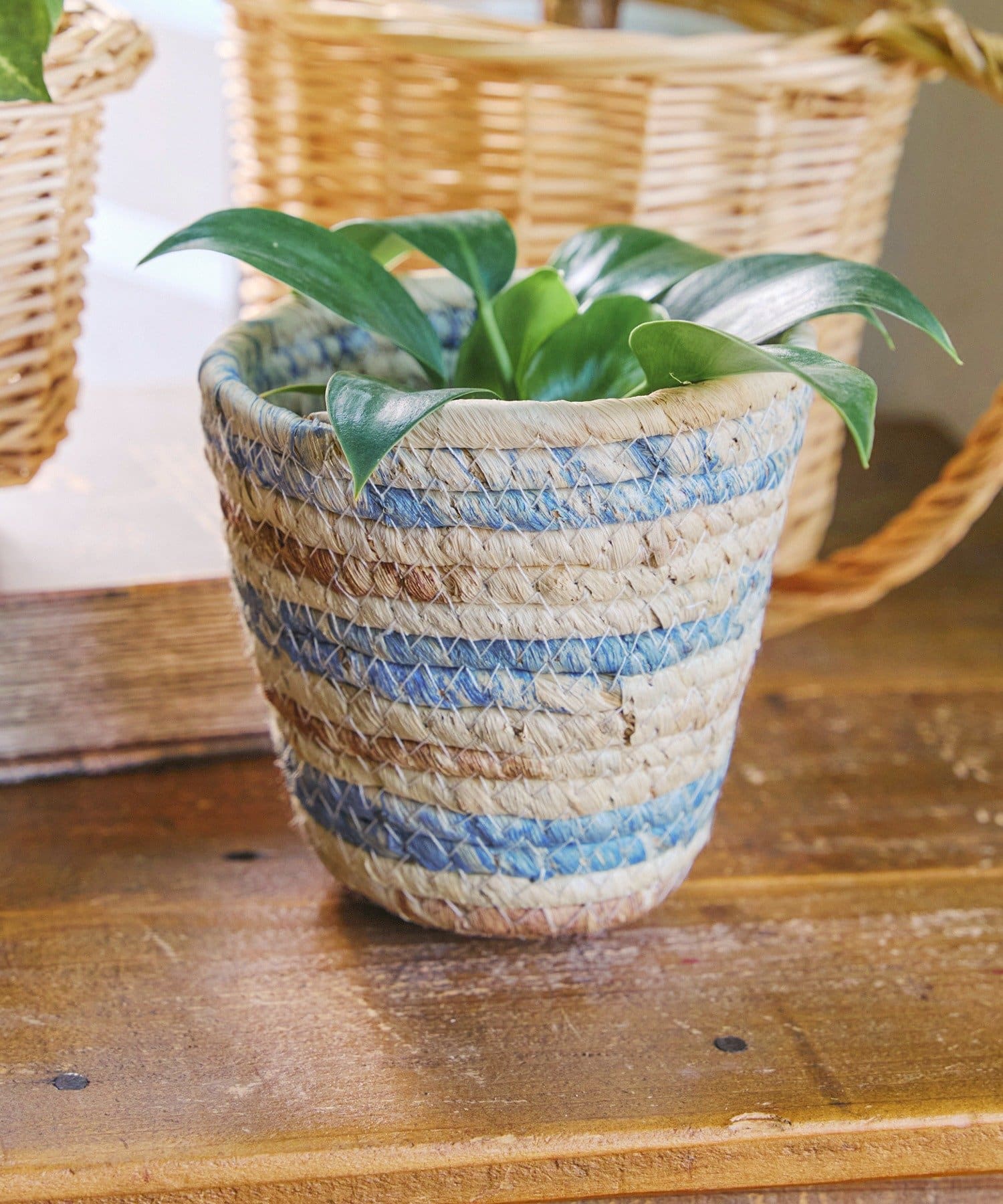 salut!(サリュ) ツートンバスケット：S