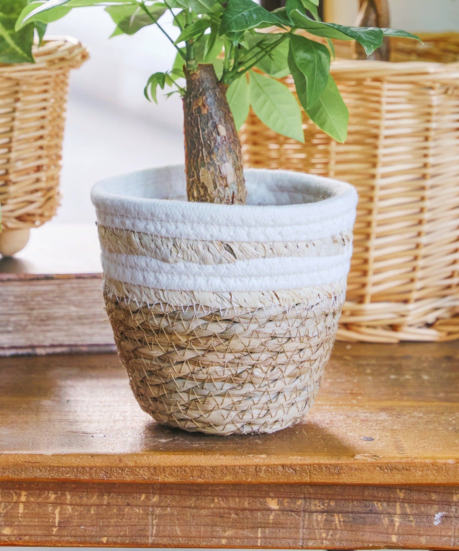 salut!(サリュ) ツートンバスケット：S