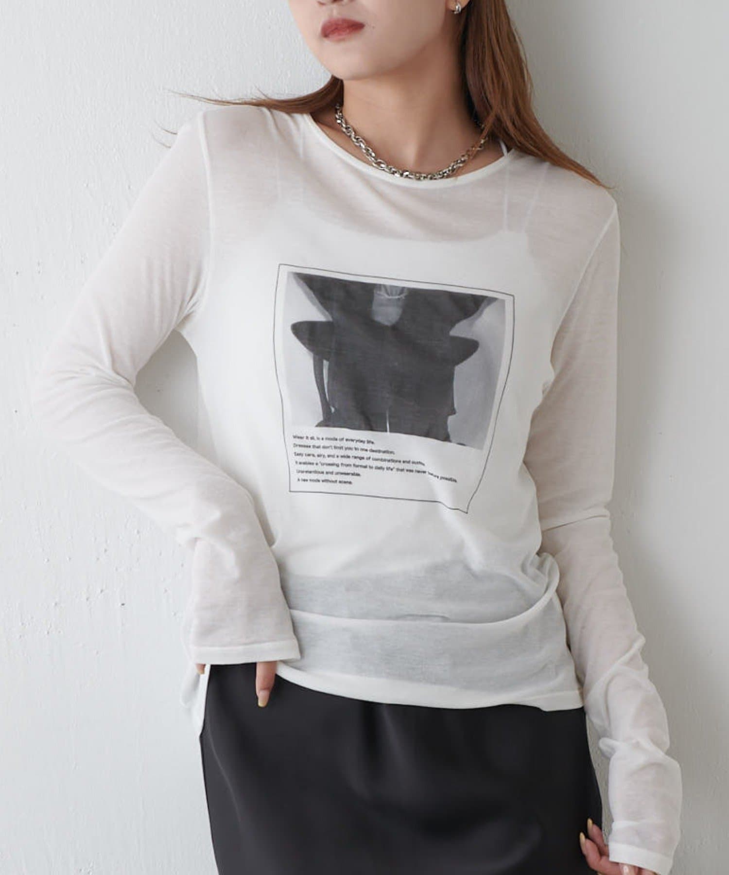 Lui's(ルイス) シアーフォトコンパクトロンT