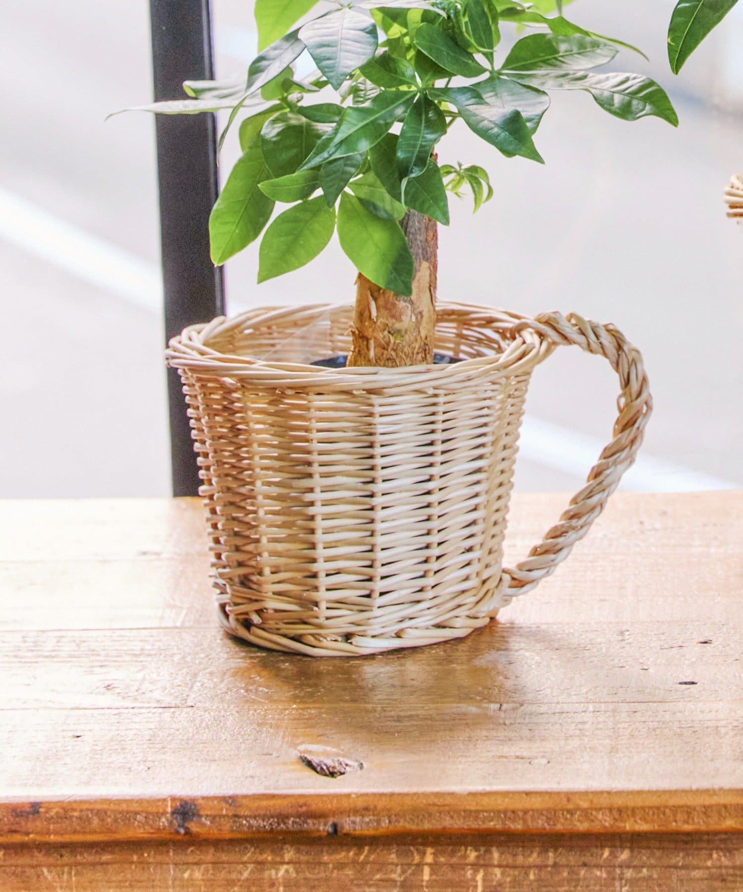 salut!(サリュ) 柳コップ型バスケット：S