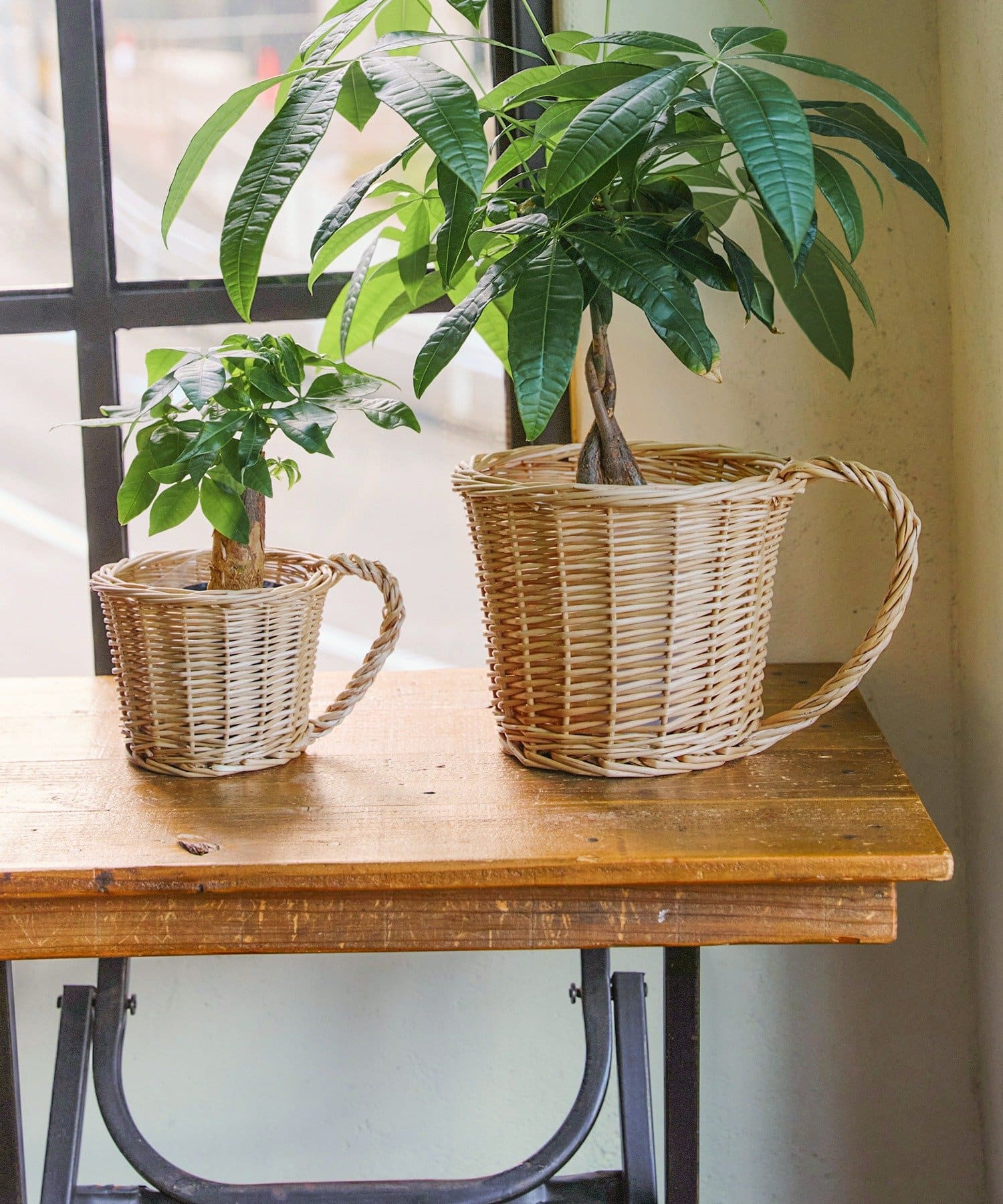 salut!(サリュ) 柳コップ型バスケット：M