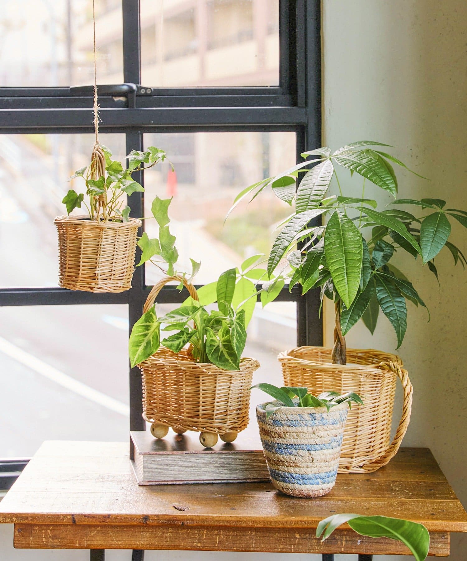 salut!(サリュ) 柳コップ型バスケット：M