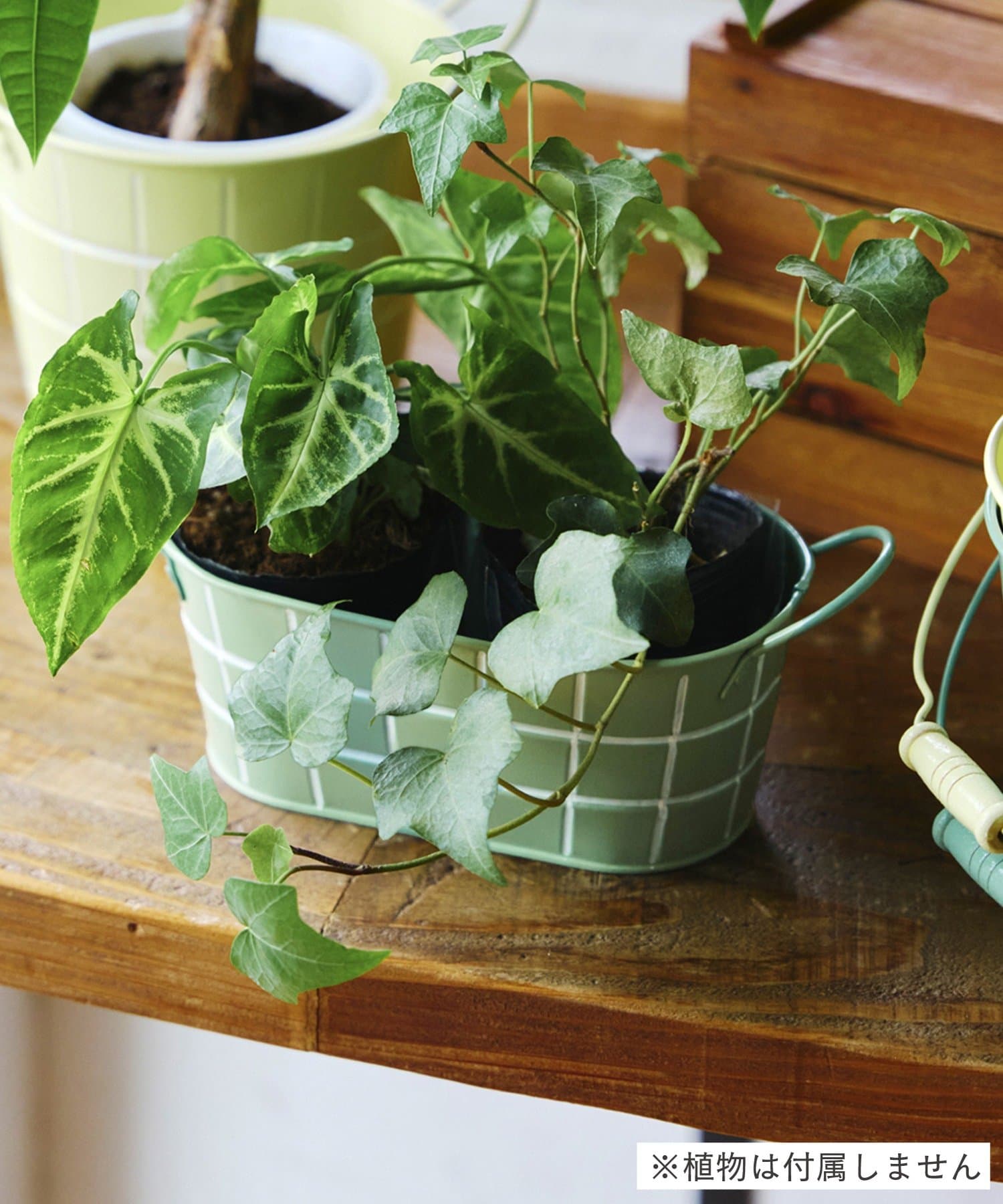 salut!(サリュ) タイルデザインオーバルブリキバスケット