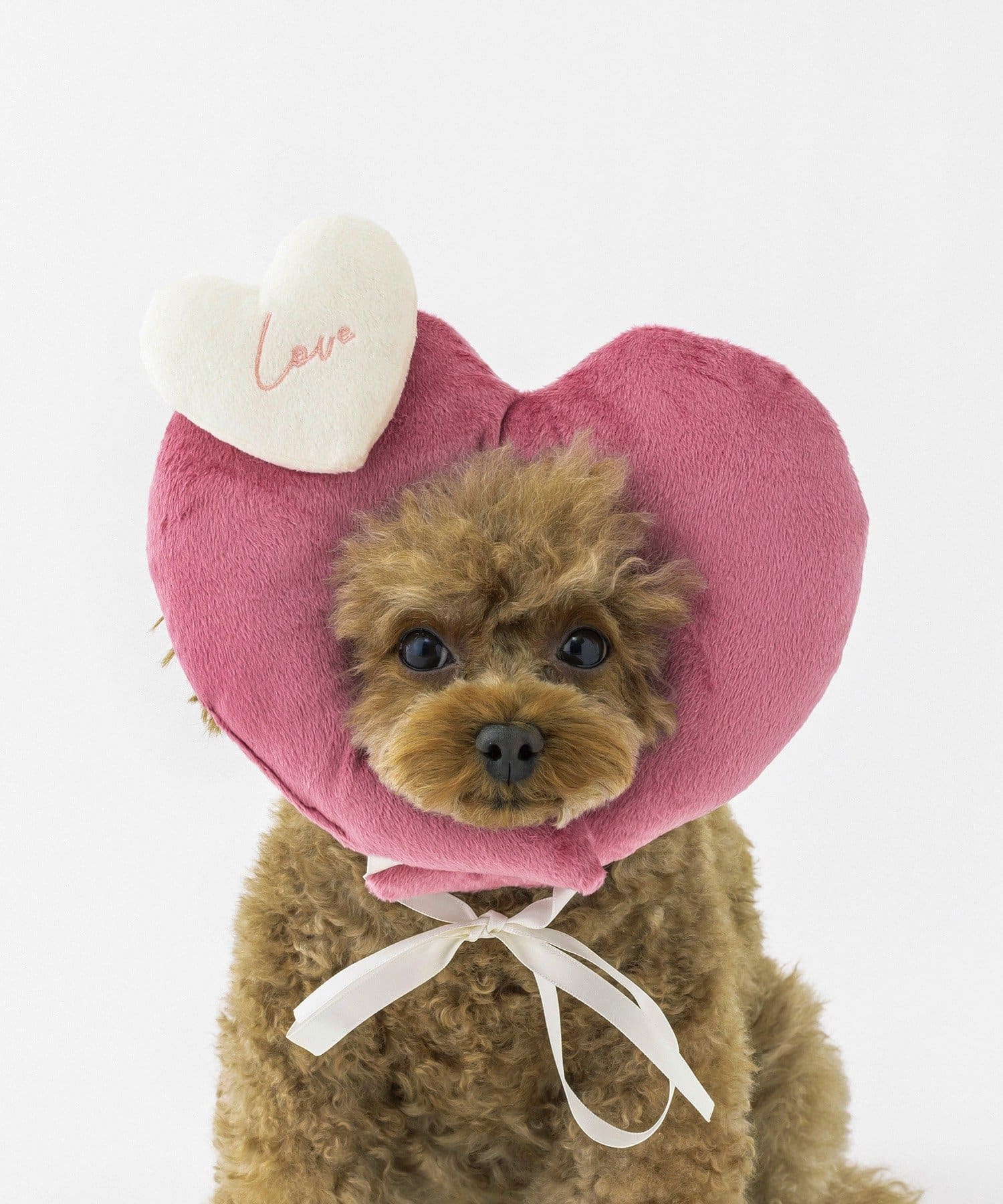 3COINS(スリーコインズ) ハート顔ハメ