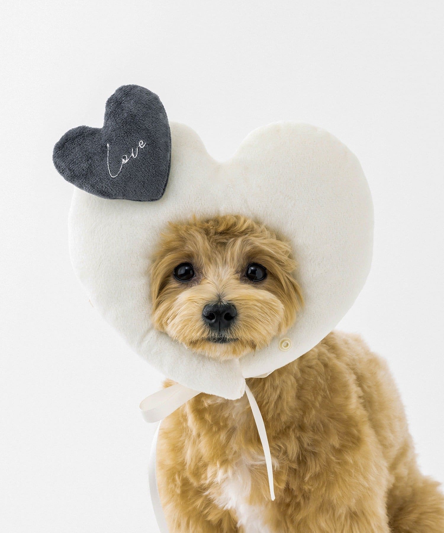 3COINS(スリーコインズ) ハート顔ハメ