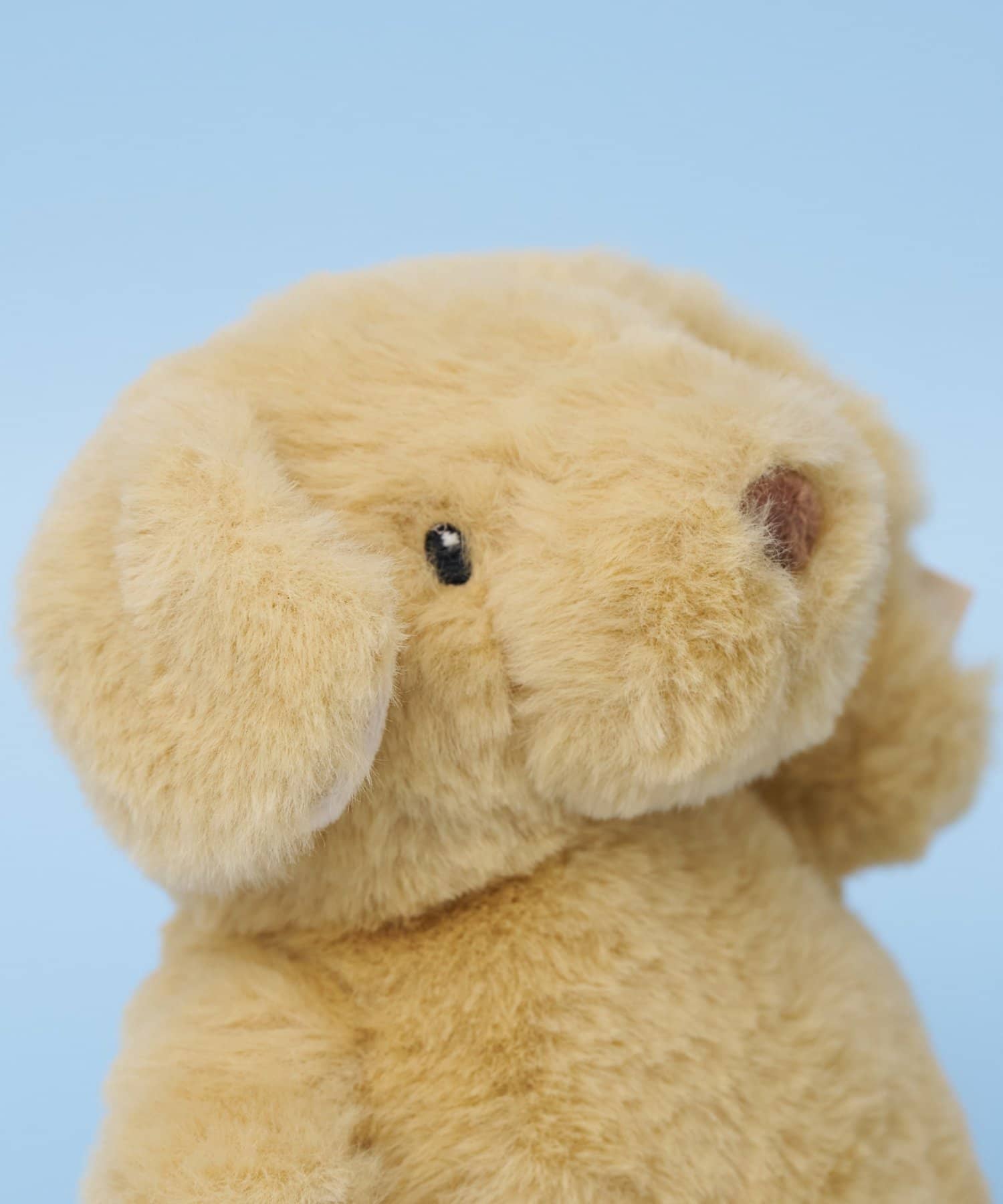 BIRTHDAY BAR(バースデイバー) 【MON AMI　モナミ】ジェイク パピー