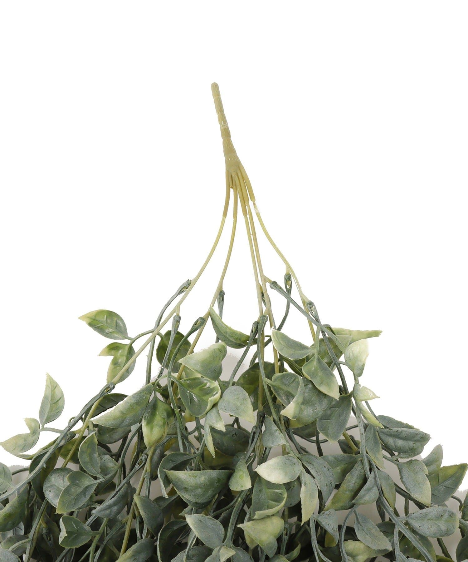 salut!(サリュ) フェイクグリーンリーフ